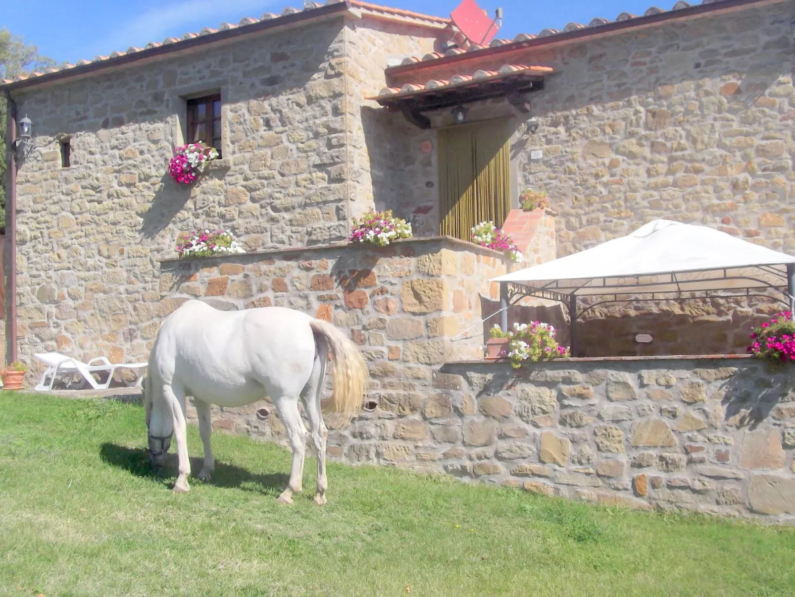 La Rosa Wohnung-Draußen