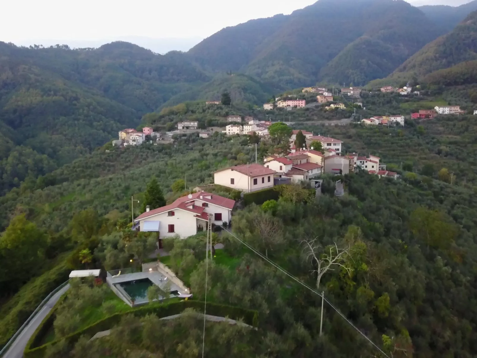 Dubbione-Image-tags.info