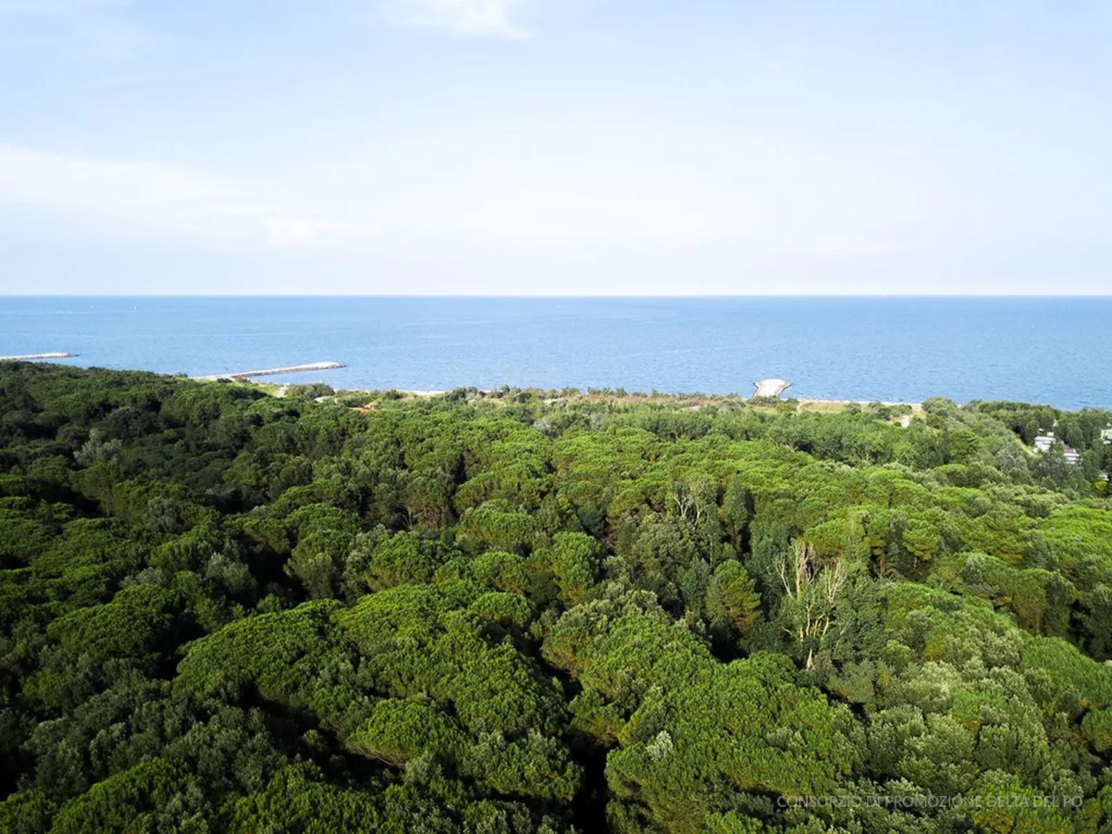 Einzimmerwohnung mit Balkon und Frühstück-Dehors