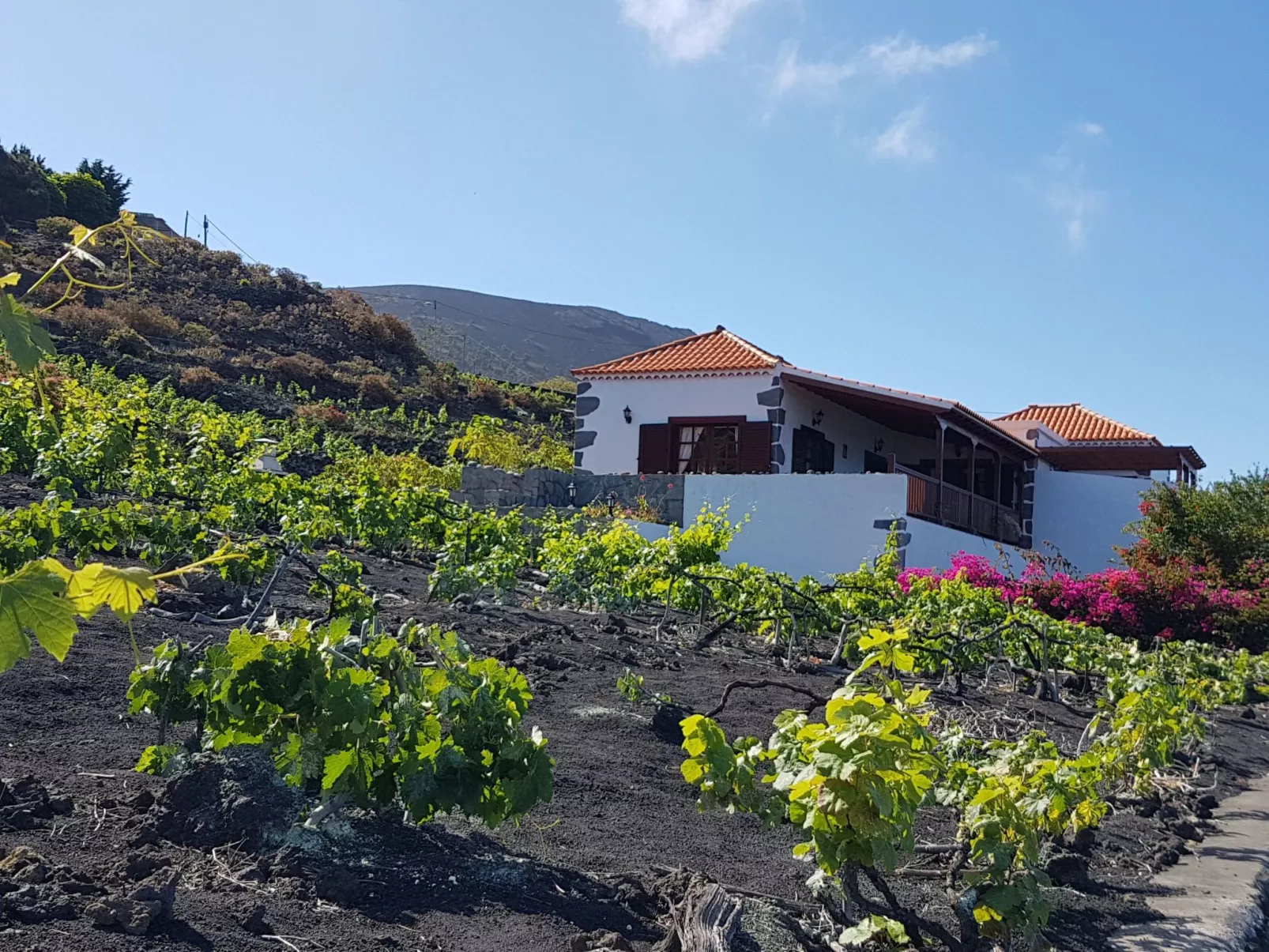 Mit Garten und wunderbarer Aussicht-Outside