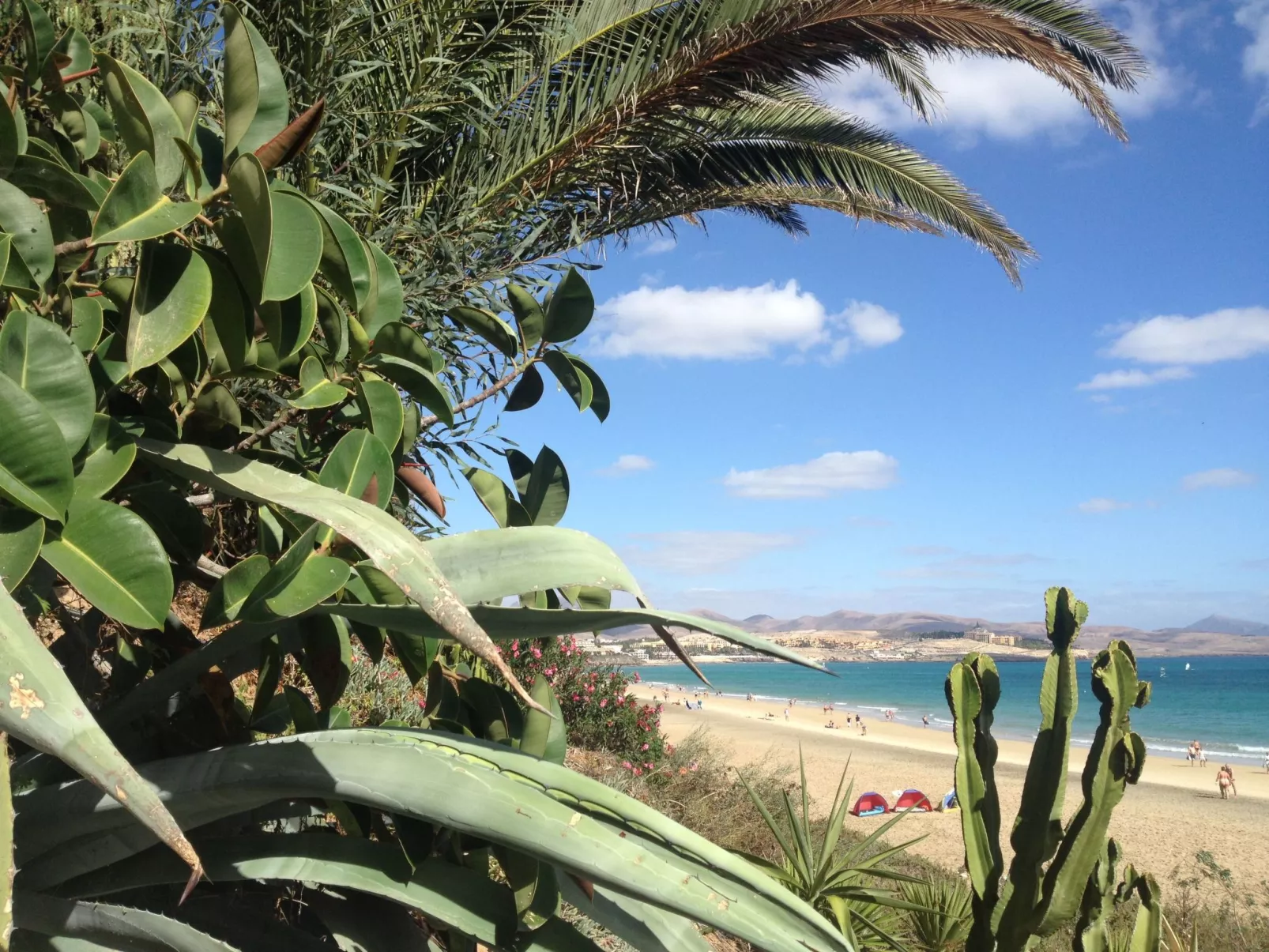 "Jandia" mit Wasserblick-Image-tags.info