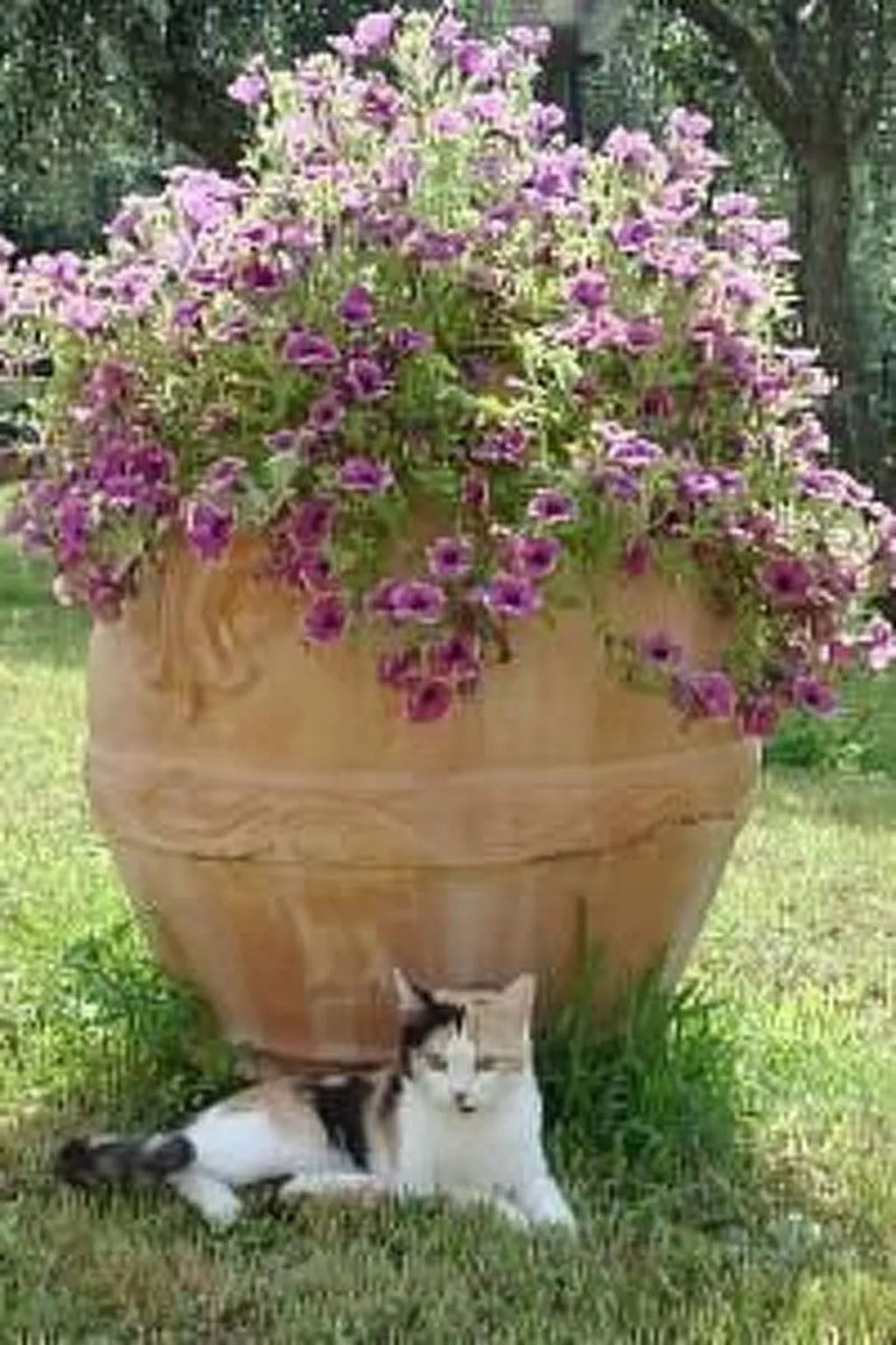 Die Scheune von Penelope-Outside