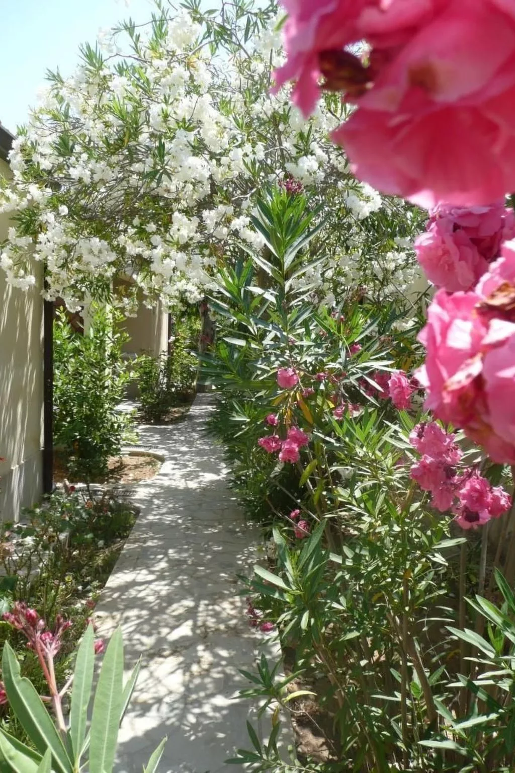 Schöner Bungalow direkt am Sandstrand auf Sizilien-Image-tags.info