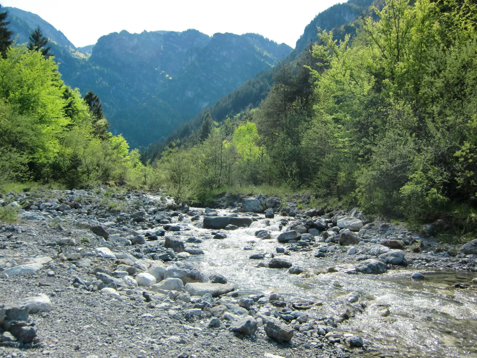 Erdgeschosswohnung mit Seeblick-Outside