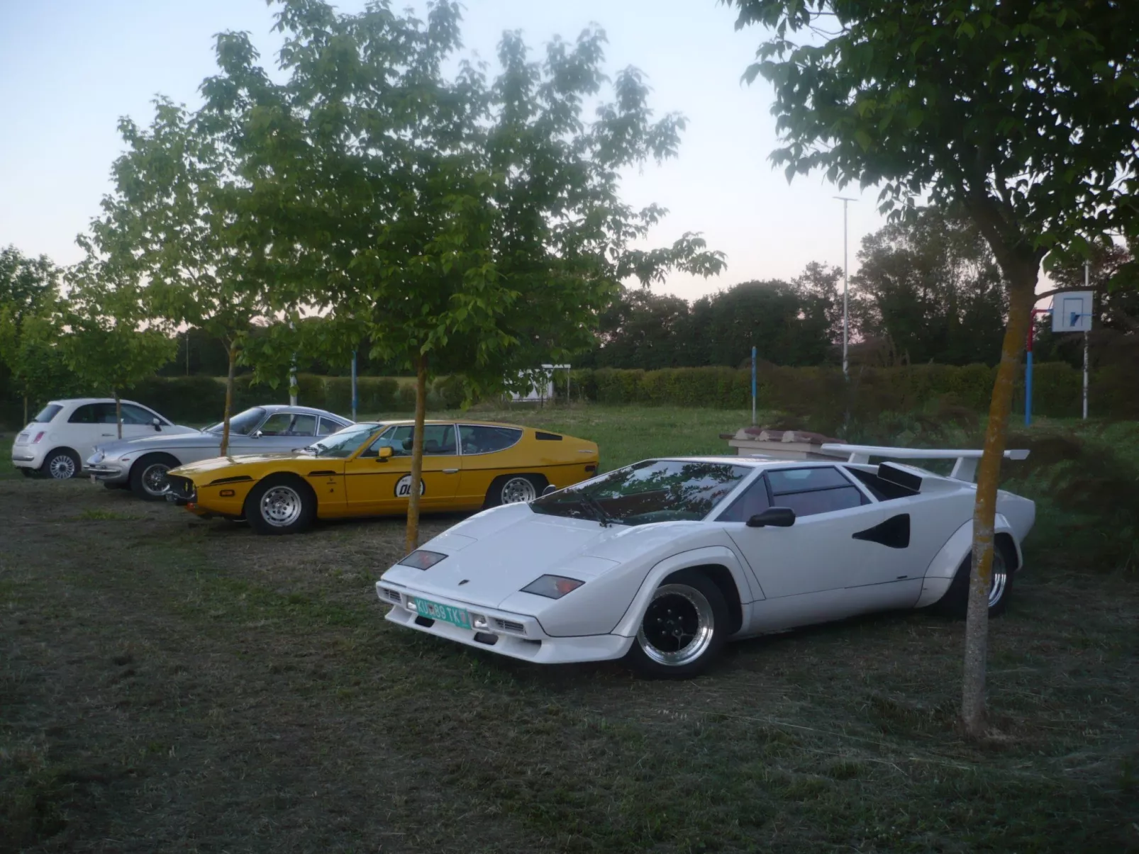 Rotreiher-Urlaub am Trasimeno-See-Image-tags.info