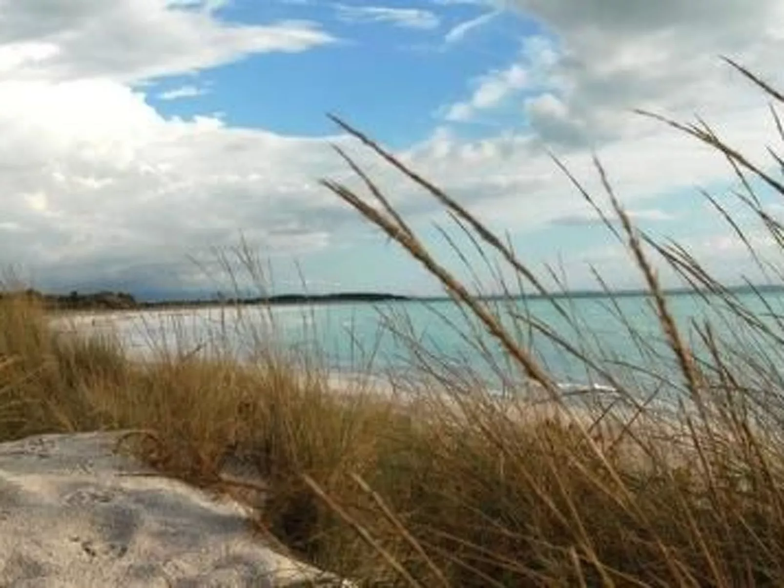 In Montescudaio mit Großem Garten-Dehors