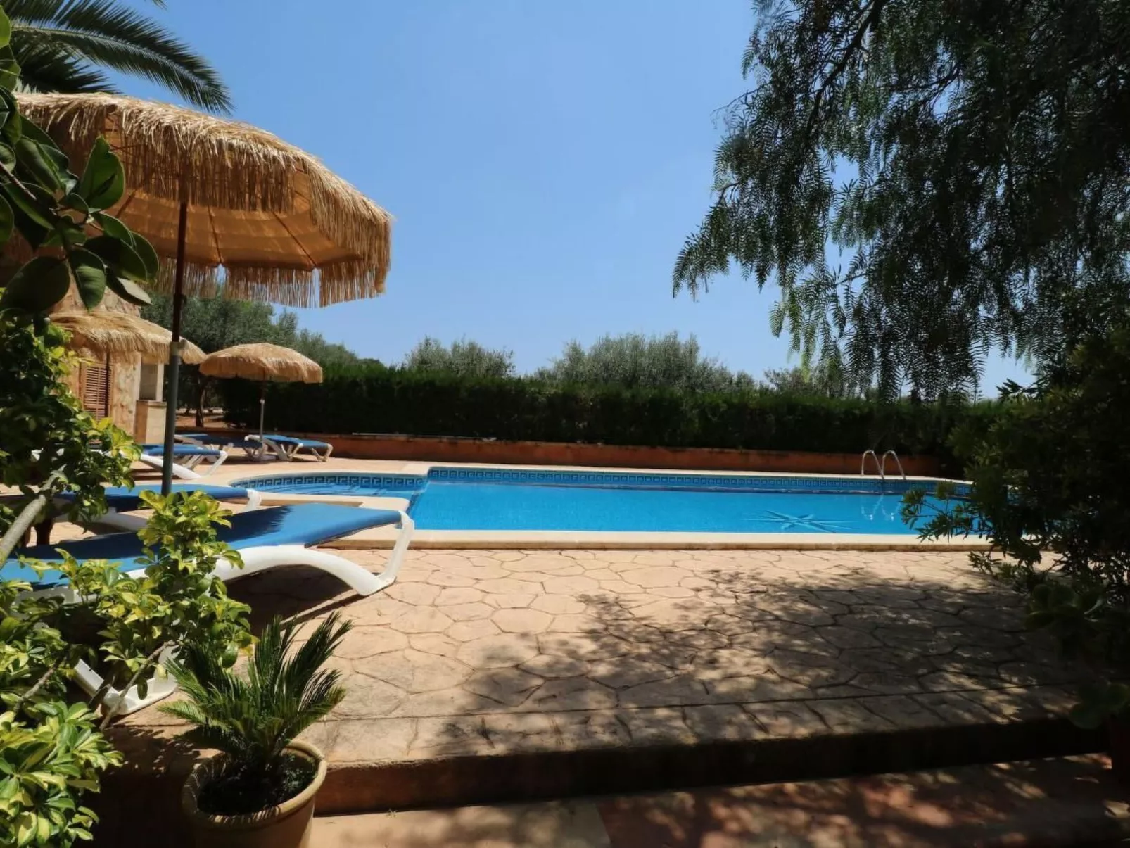 Fi. Camaron-Crestall-Image-tags.info