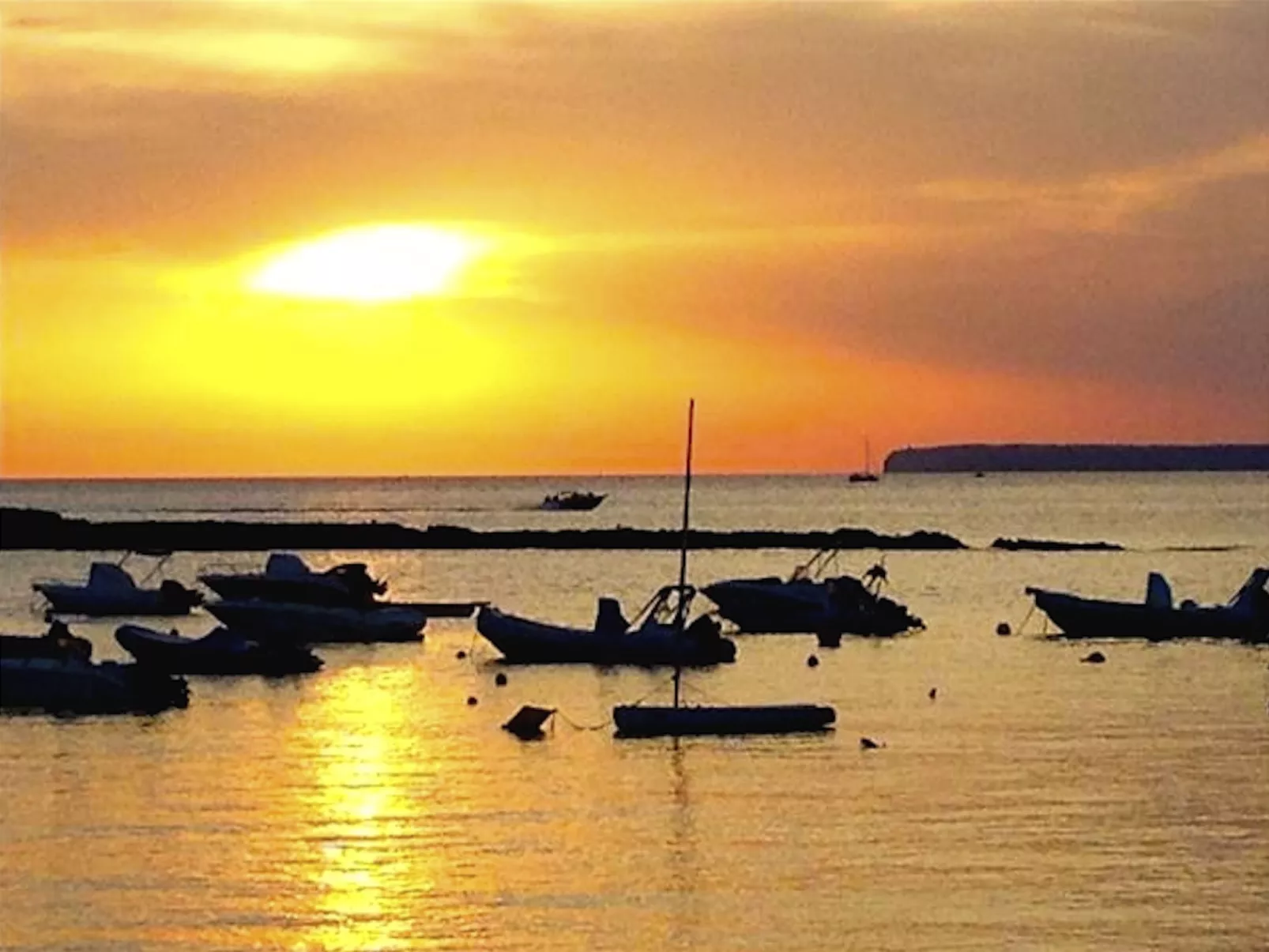 Finca Alfabia Campos-Draußen