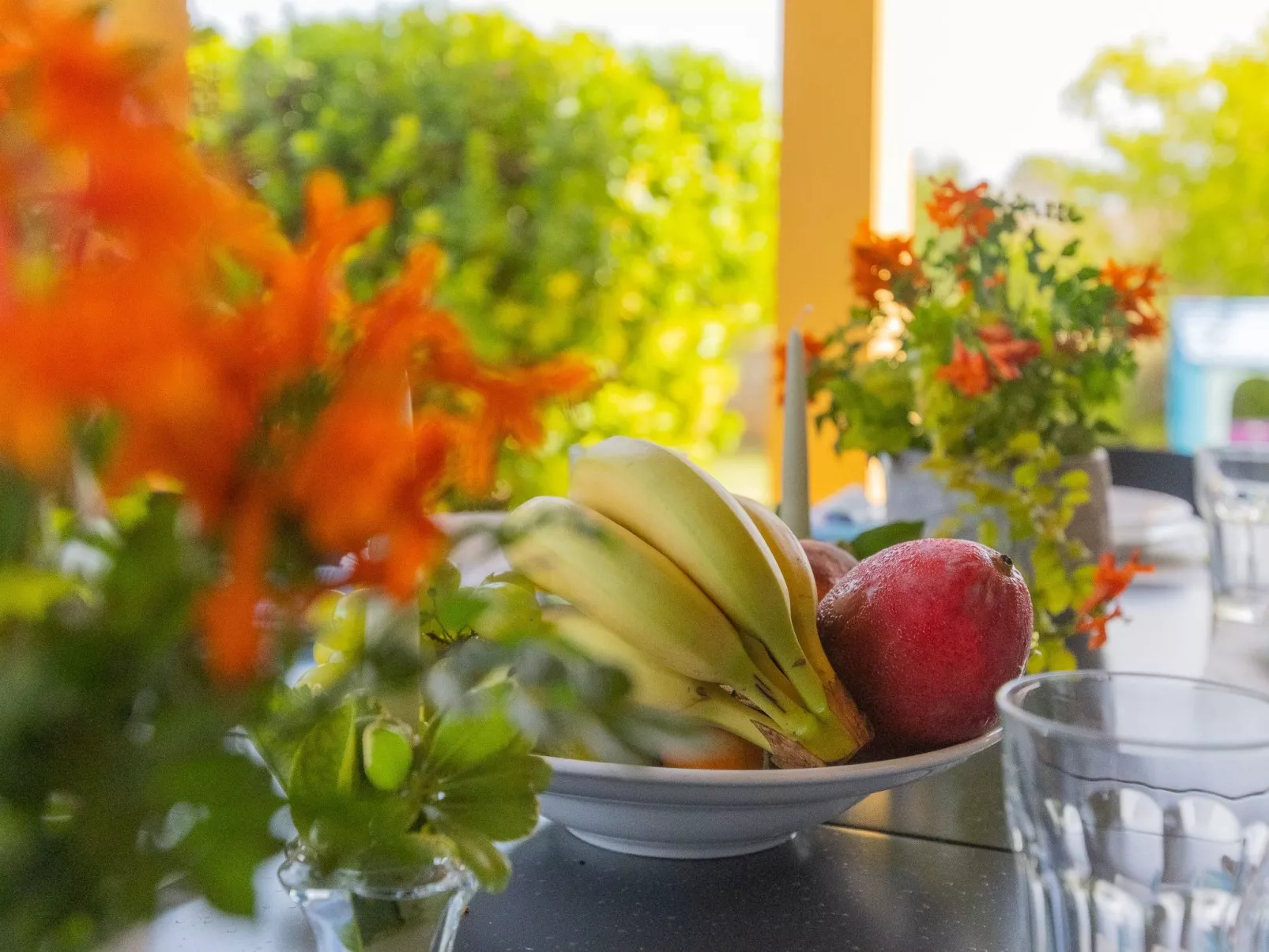 Son Serra-Image-tags.info