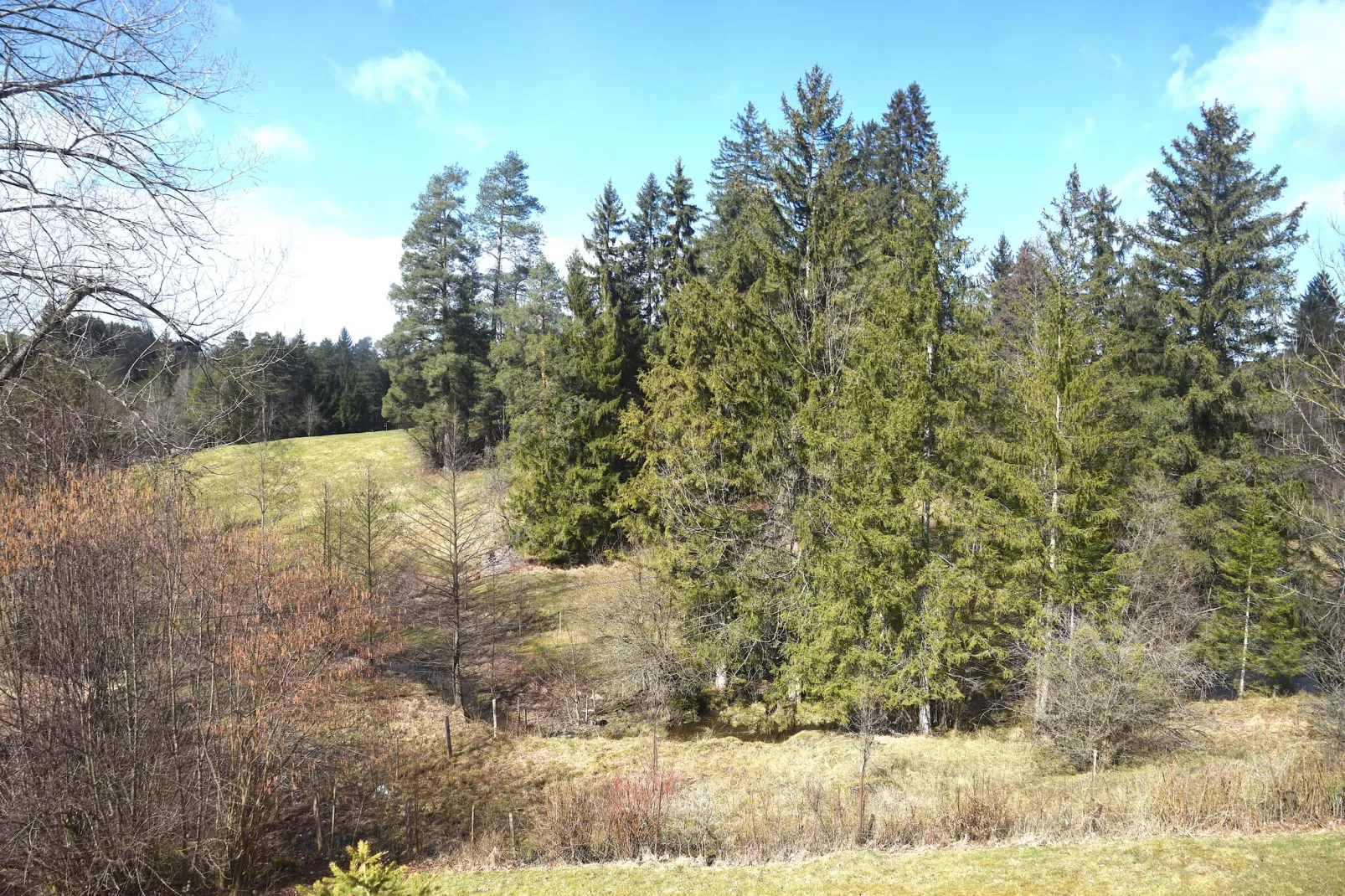 Ferienhaus Weissensee HF-Gebiete Sommer 1 km