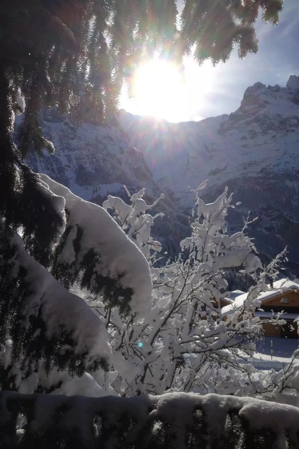 Chalet Mislin, Grindelwald direkte Bergsicht-Draußen