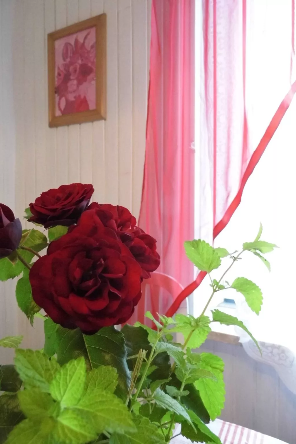 Wohnung in Radići mit geräumigem Balkon-Inside