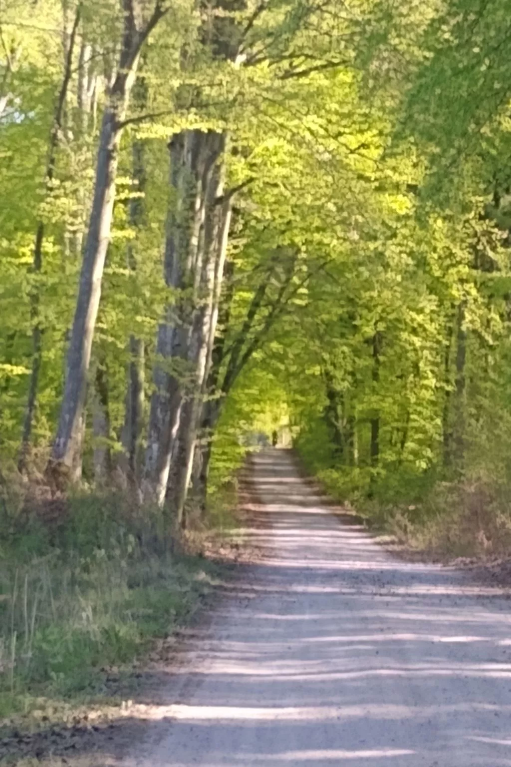 Vogelecke - abseits des Trubels und der Hektik-Dehors