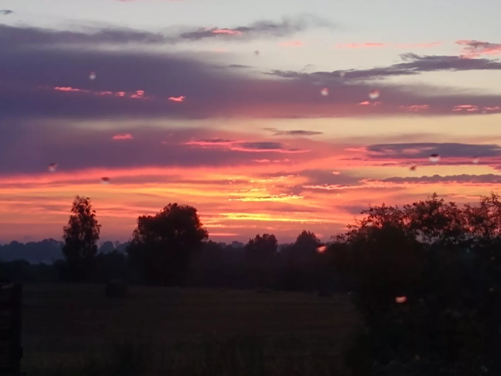 Vogelecke - abseits des Trubels und der Hektik-Draußen