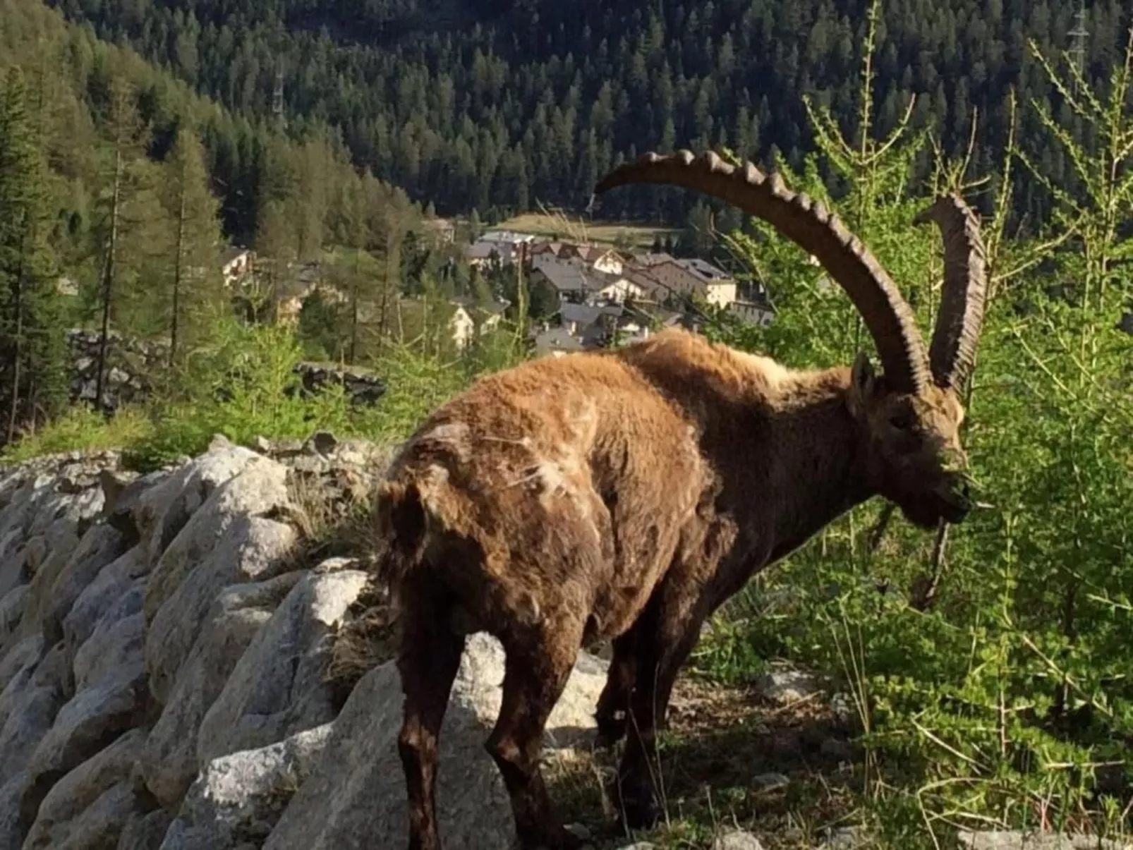 Chesa Andrea, EG-Outside