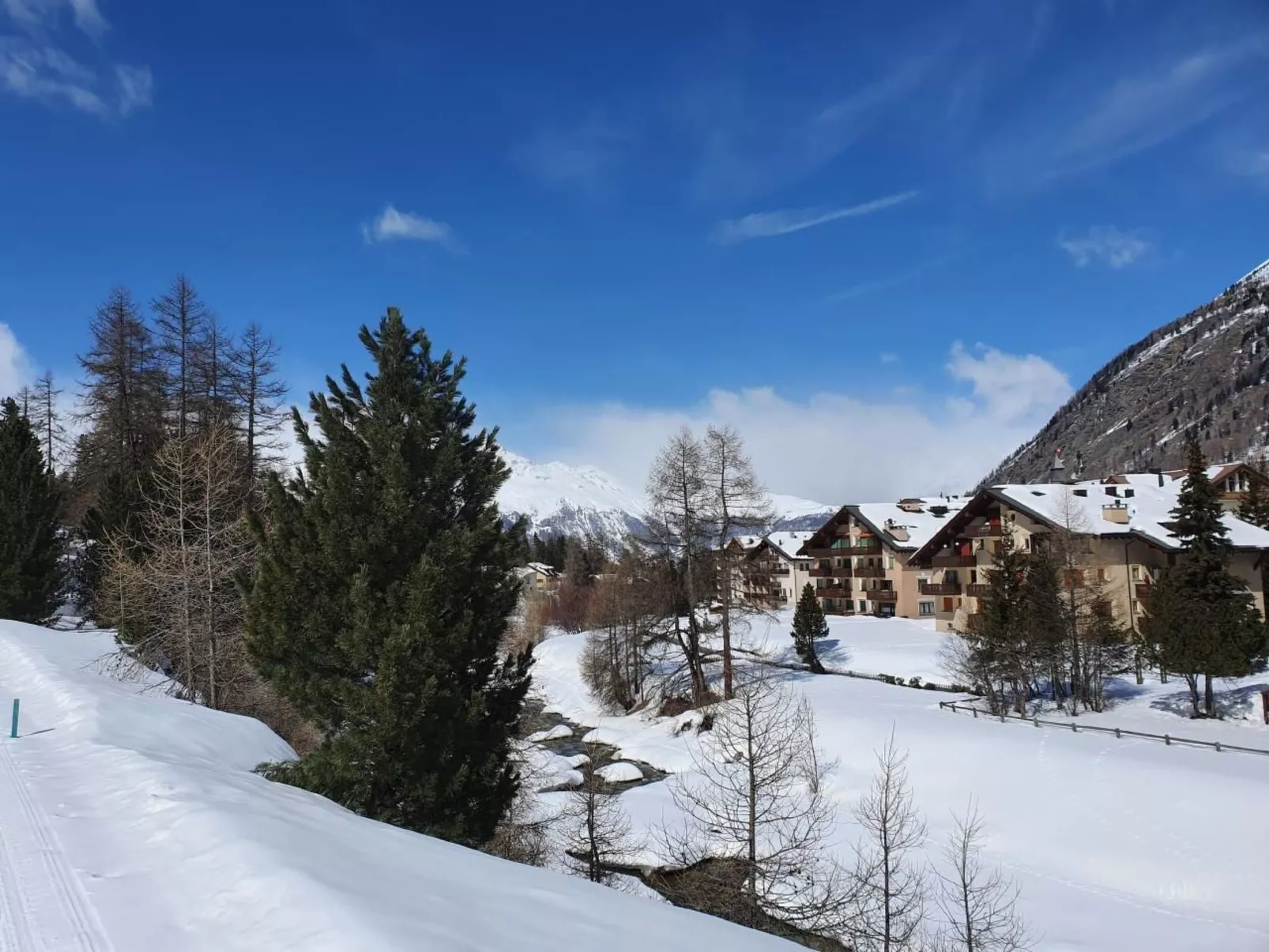 Curtins18-Image-tags.info