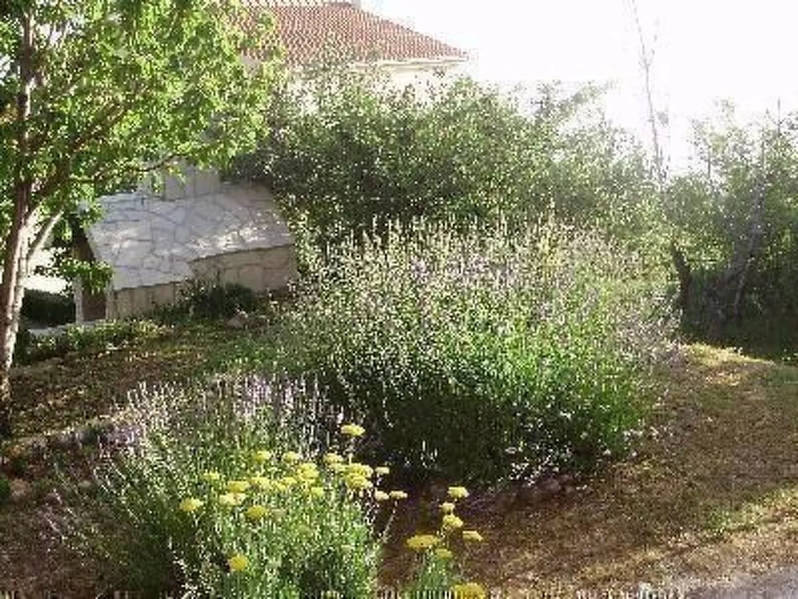 Bella Vista-Draußen