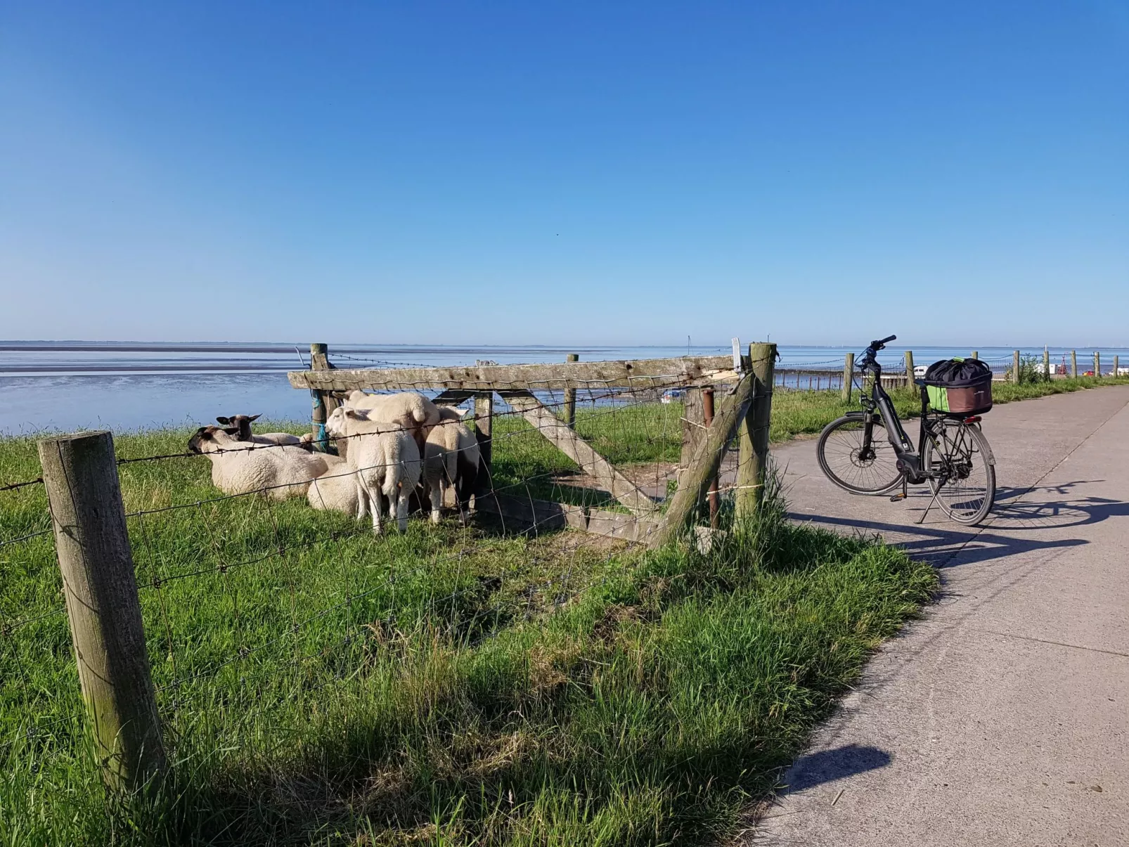 G10 Ferienhaus mit Wiesenblick in Eckwarderhörne-Dehors