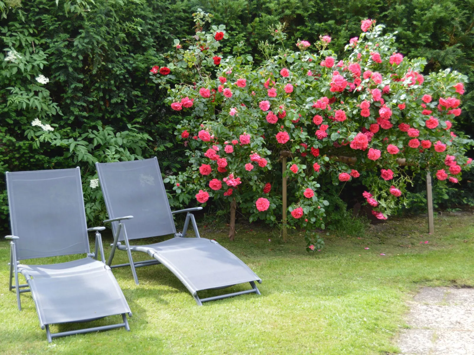 Deichhuus - ruhig am Feldrand in Sackgassenlage-Outside