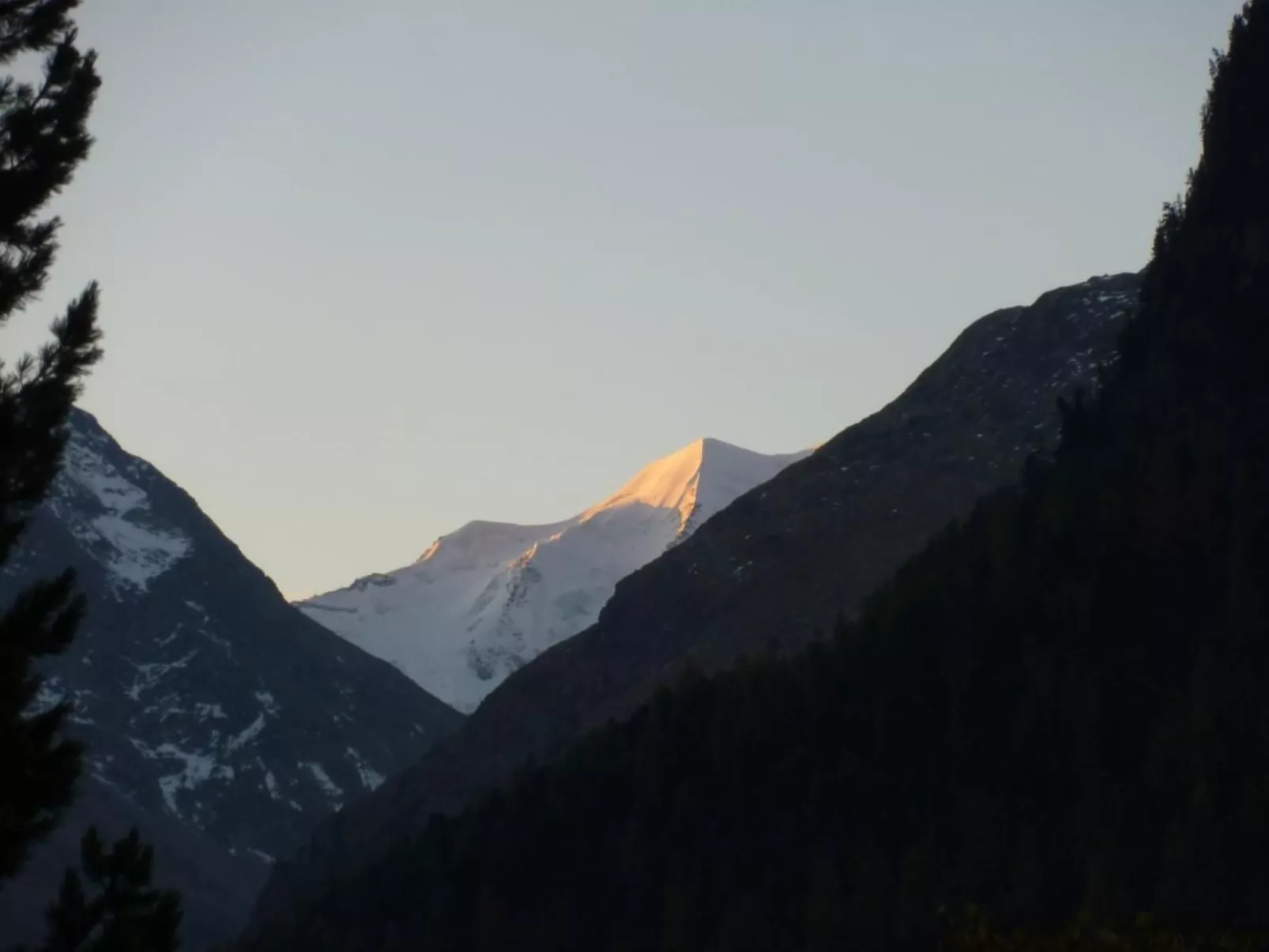 MFH Terr‘in tschêl-Image-tags.info