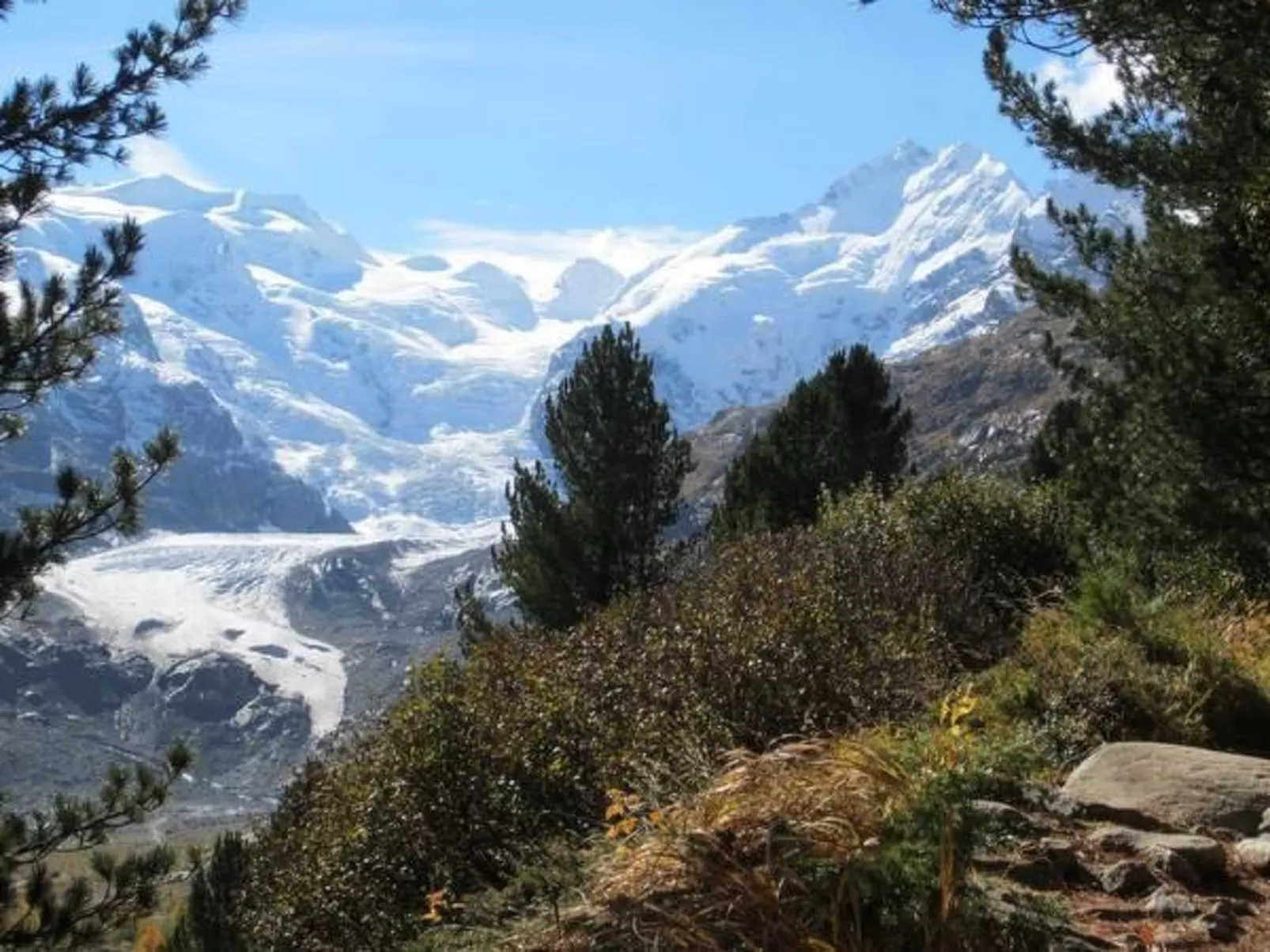 Chesa Basilisk 1 - ÖV inklusive-Image-tags.info