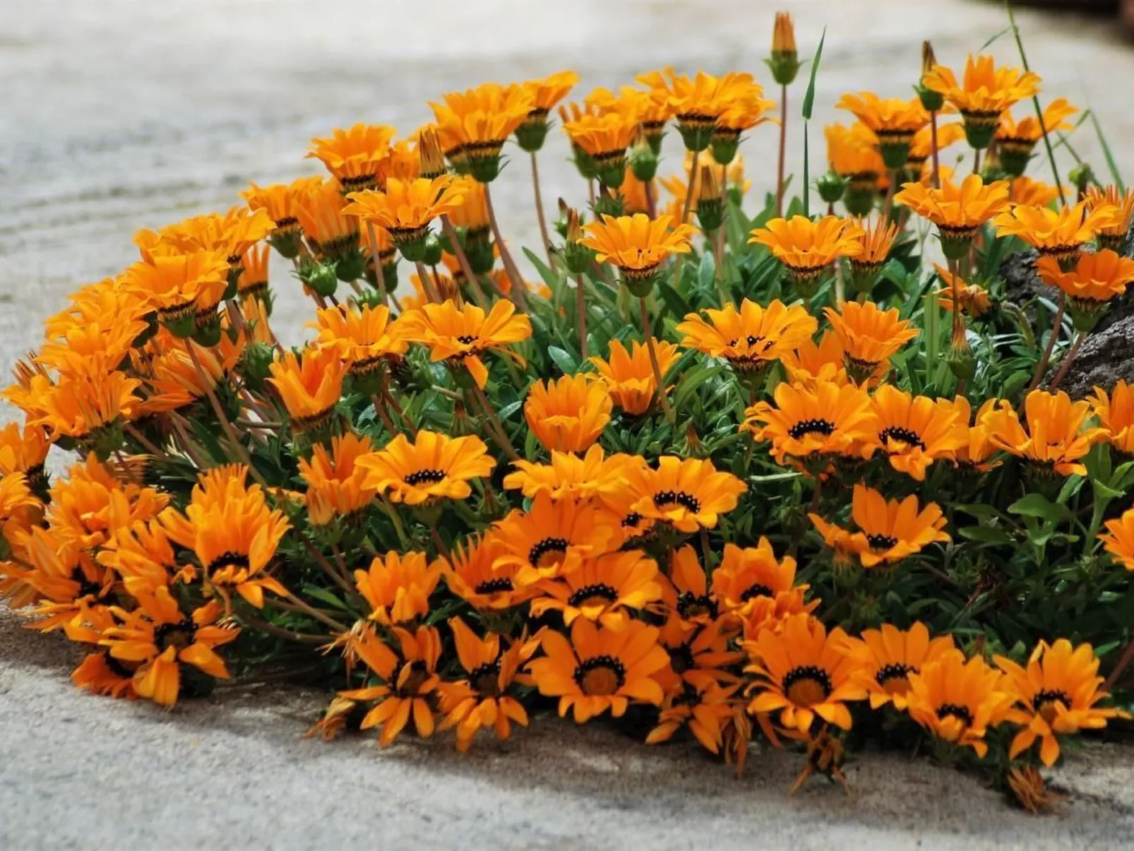 Rustikales Haus in Lukoran mit privatem Parkplatz-Dehors