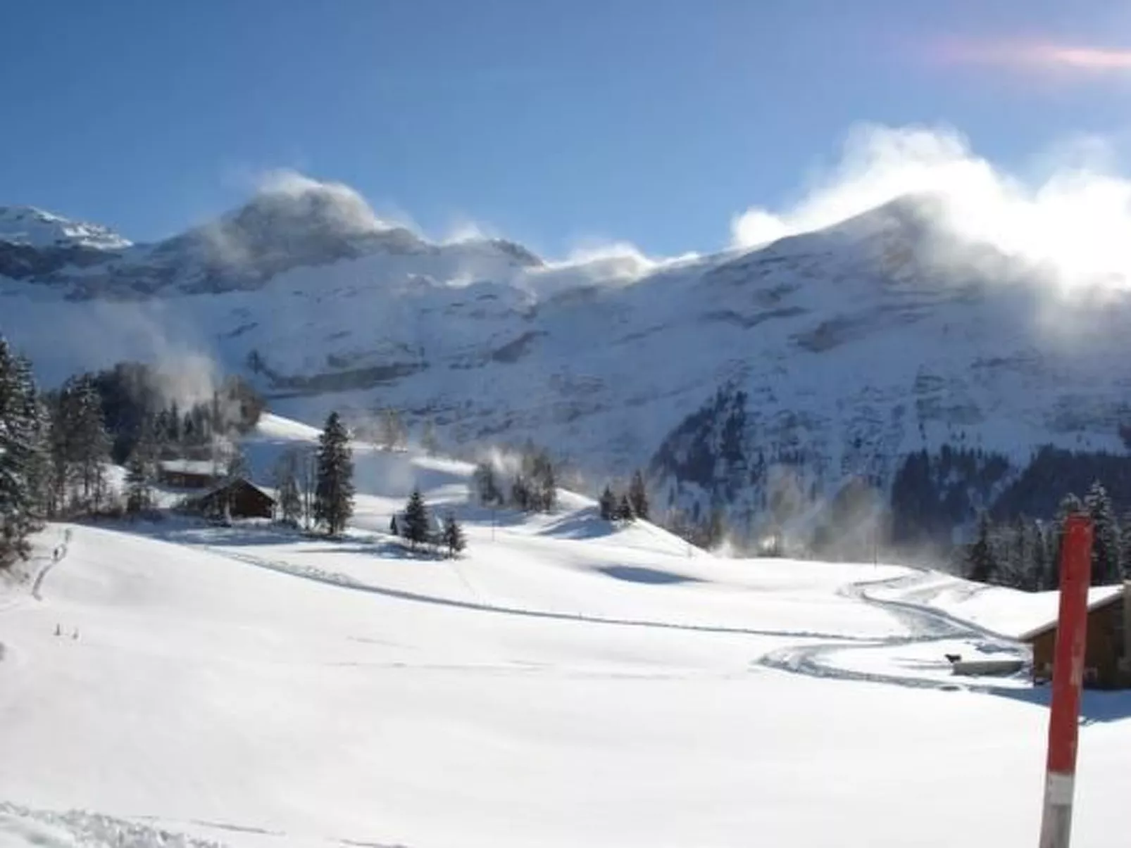 Ferien im grünen links-Dehors