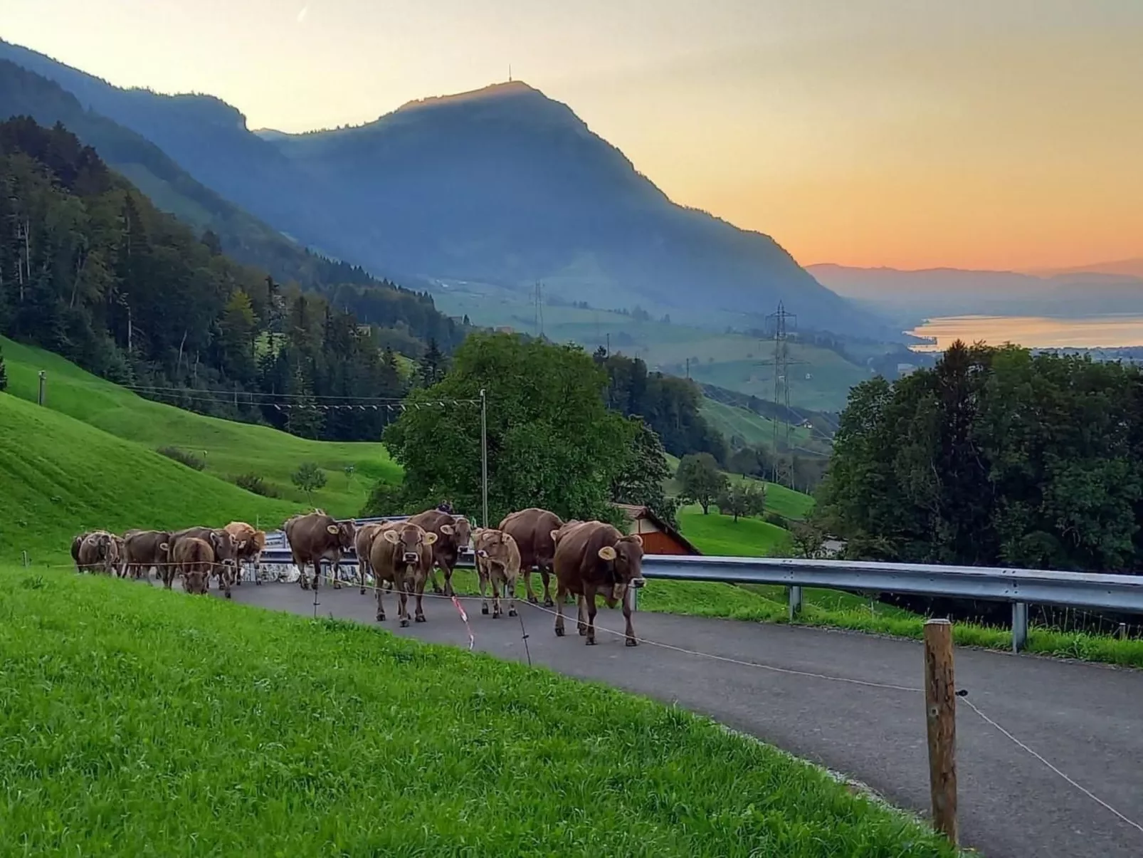 Biohof Langberg-Outside