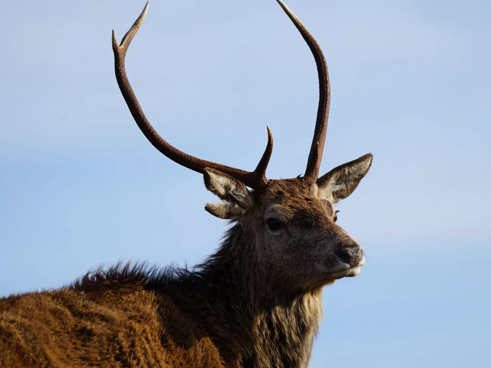 West Horizon Ferienhaus-Outside