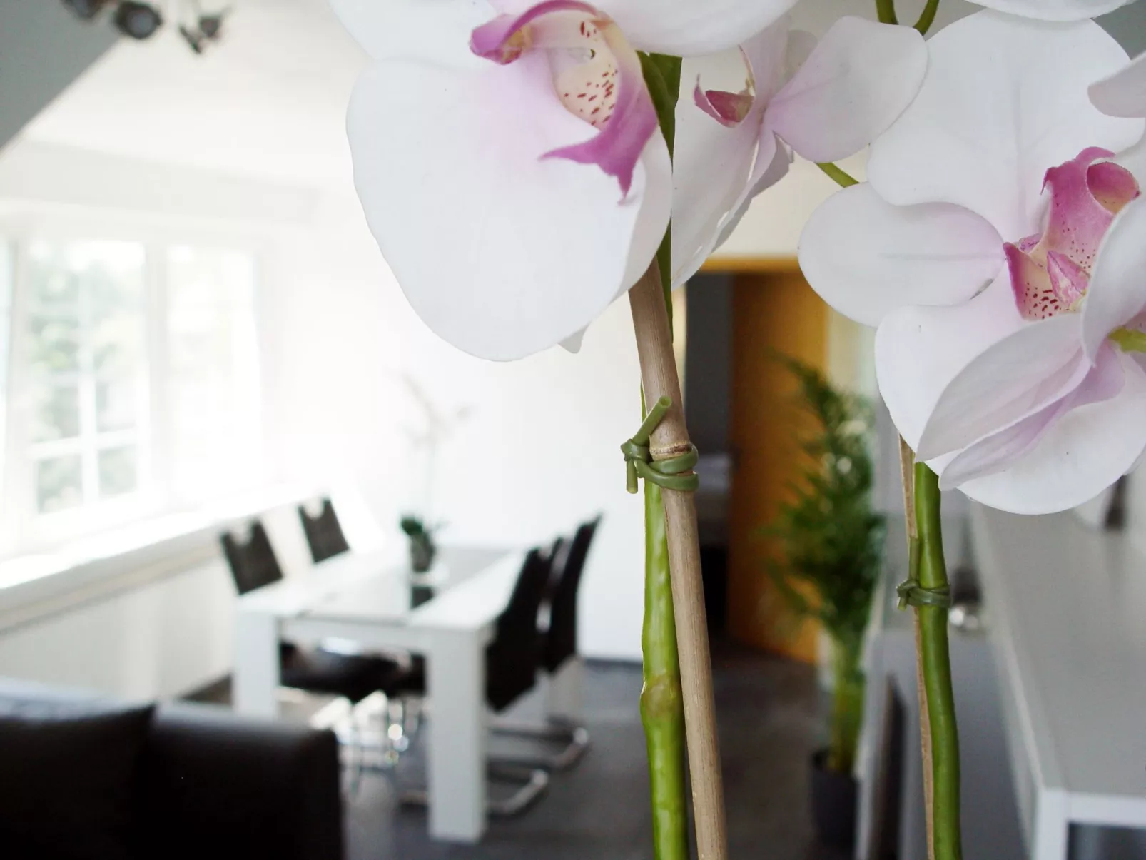 La Domus Premium-Inside