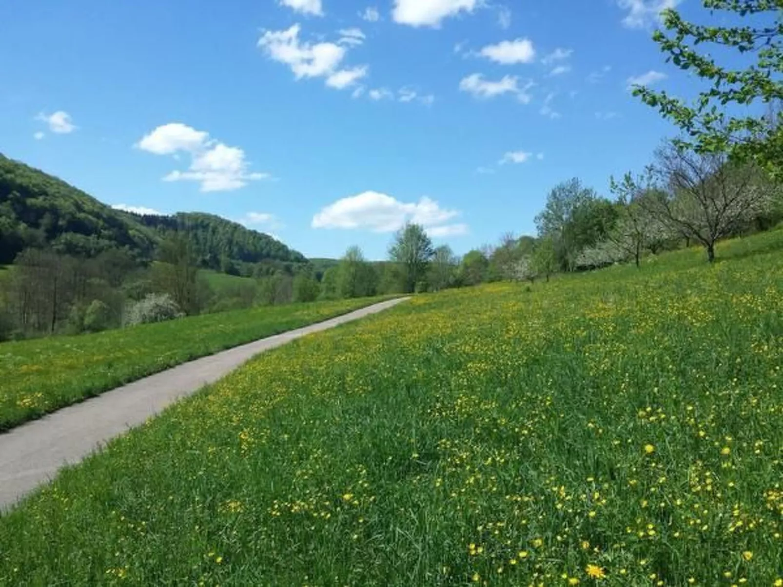 Ferienwohng. Susanne-Outside