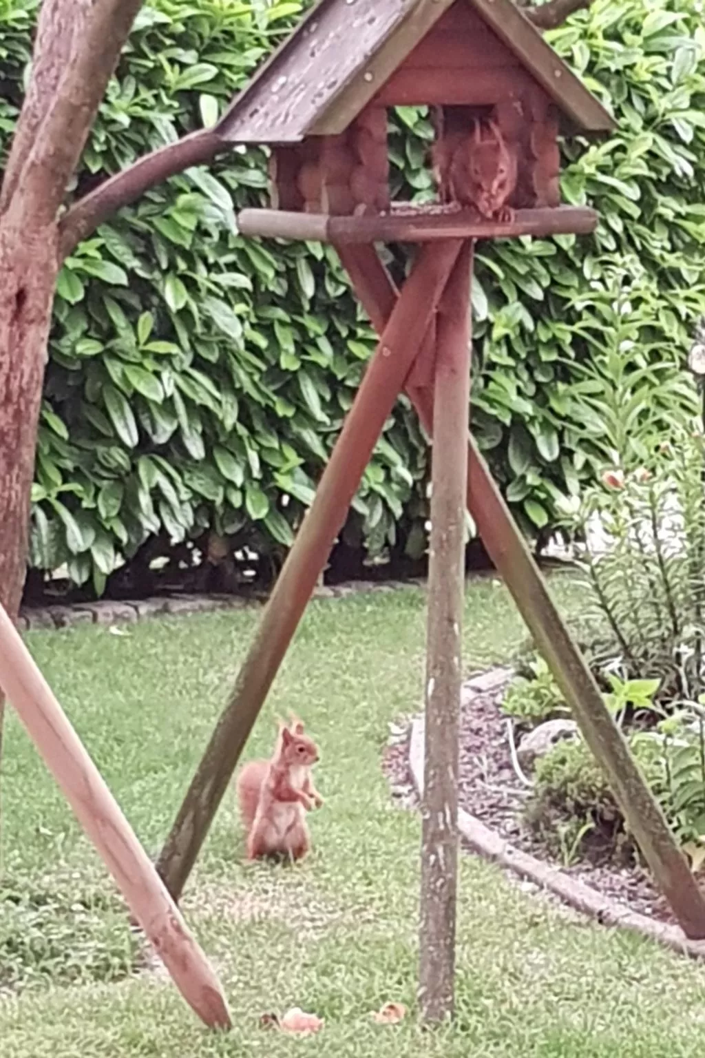 Beim Bracksee-Draußen