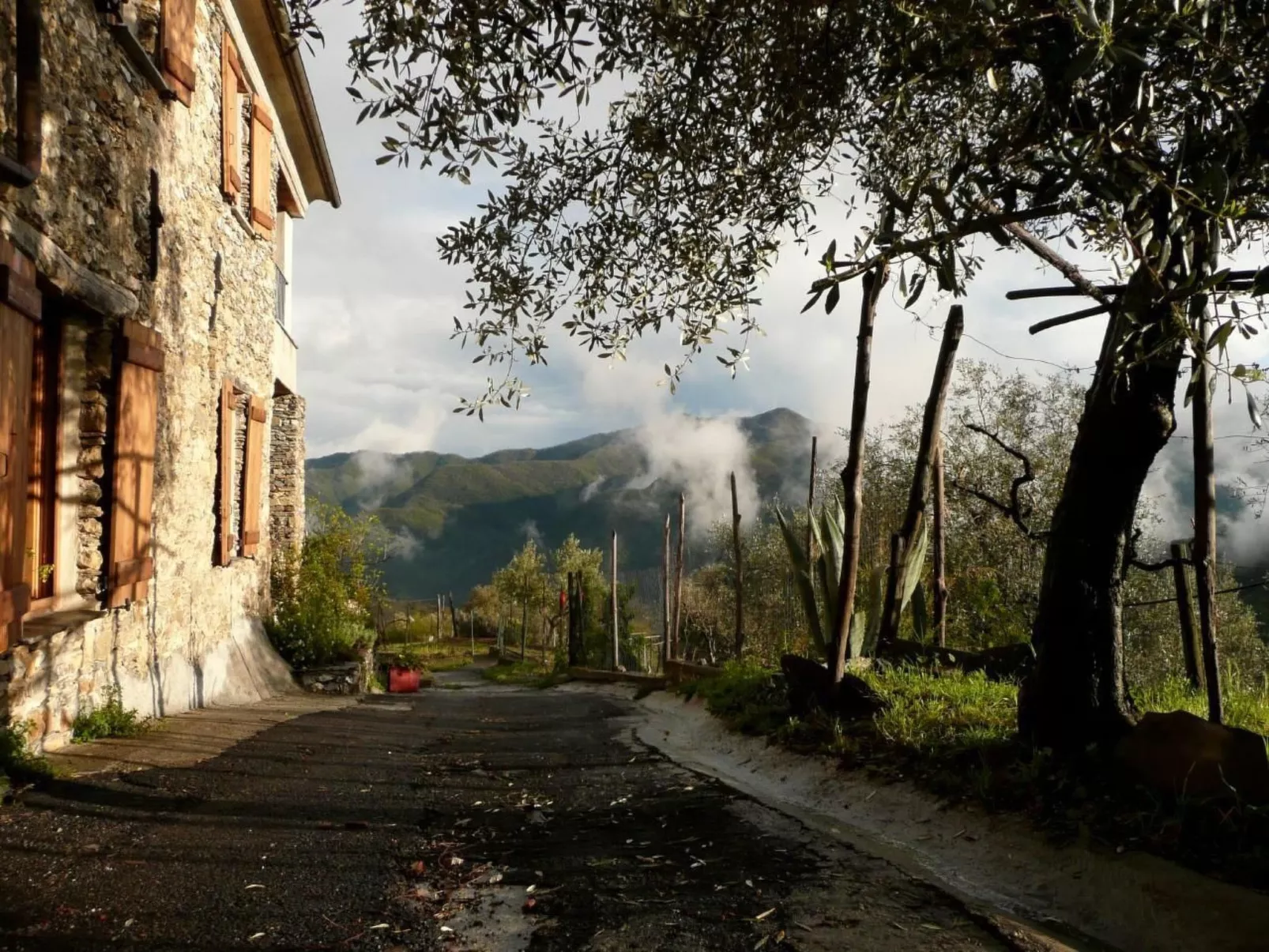 CASA SISSI, Sehnsuchtsort zwischen Olivenhainen-Outside