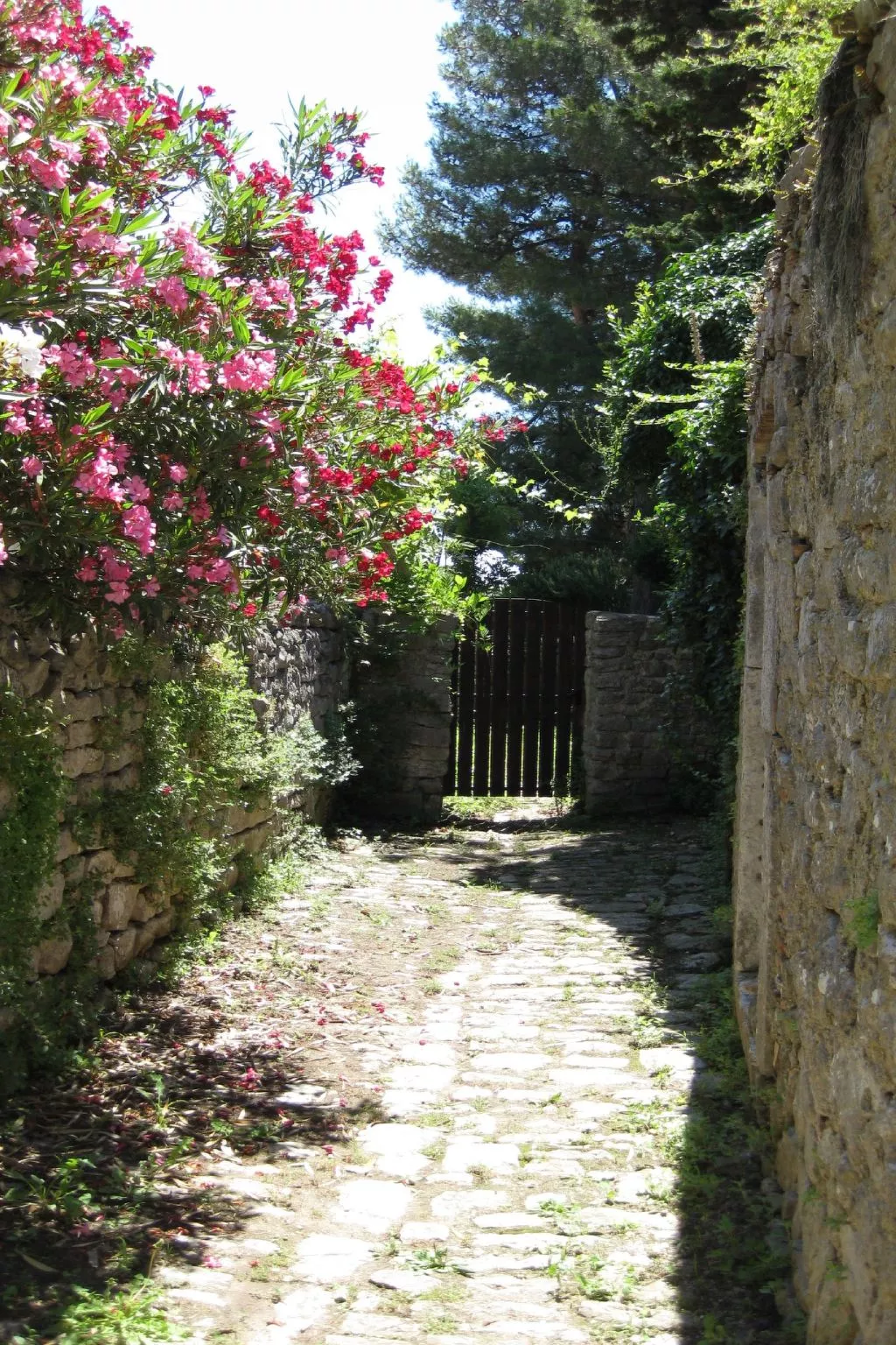 In Osor mit Privatem Pool-Outside