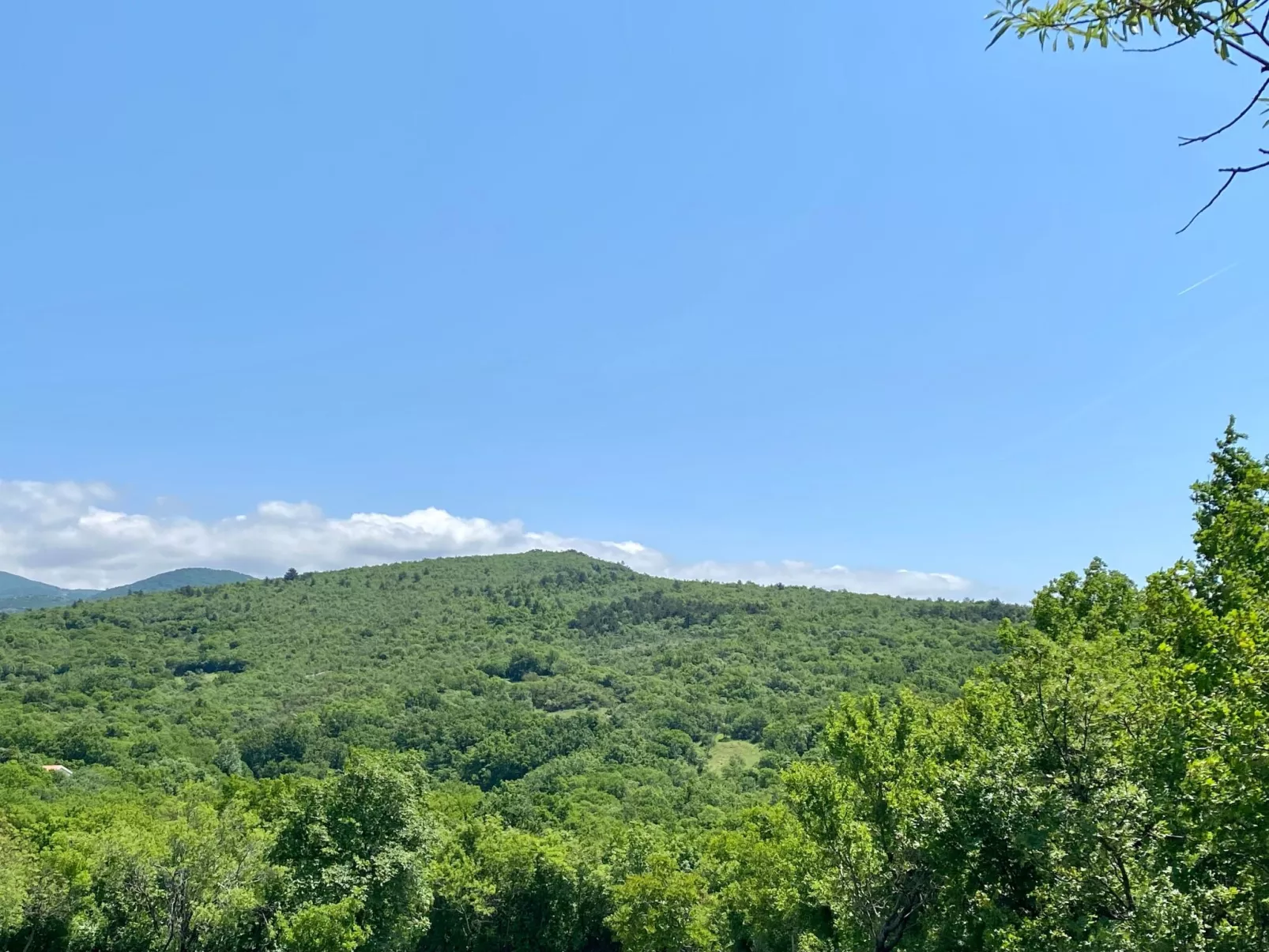 Villa Theresa-Draußen