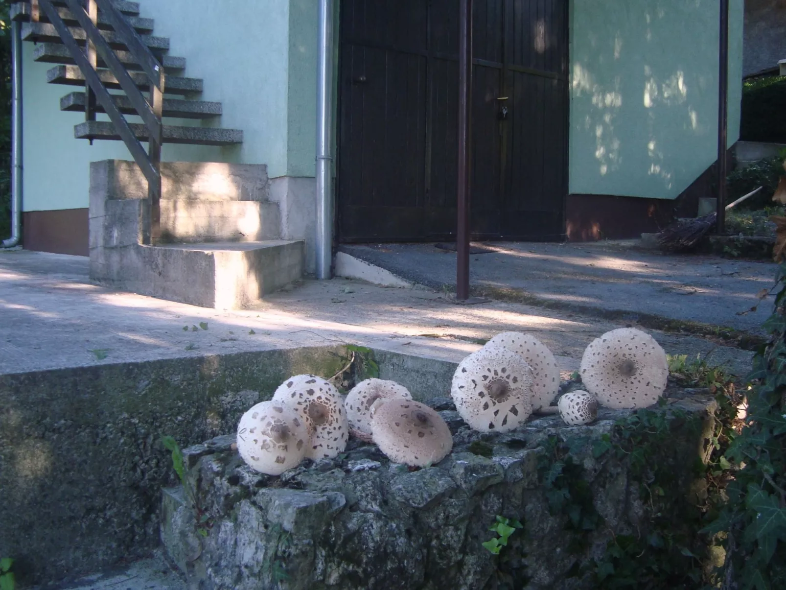 Mit Terrasse, Grill und Garten-Image-tags.info