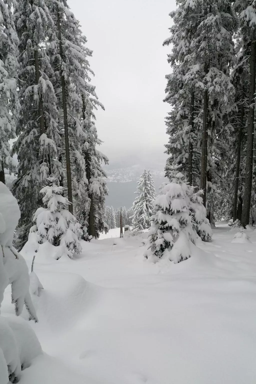 Region Tegernsee-Dehors