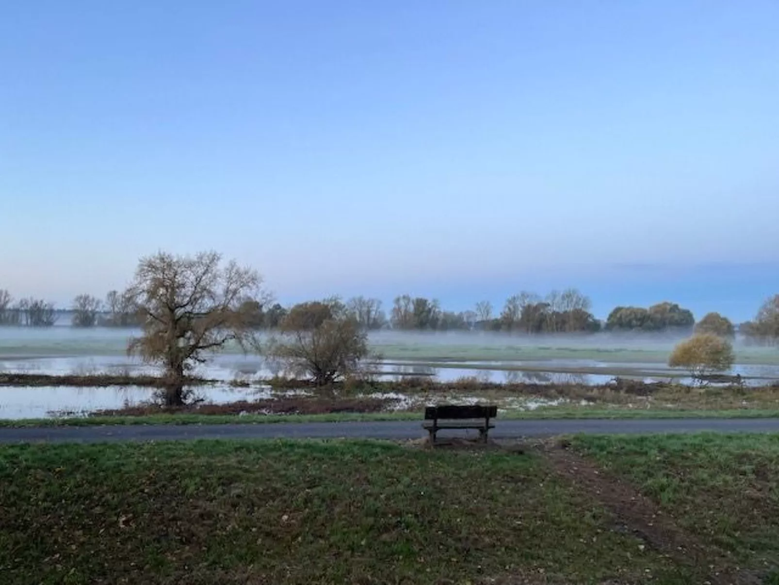 Haus Elbrose inmitten von Rosen mit Elbdeichzugang-Dehors
