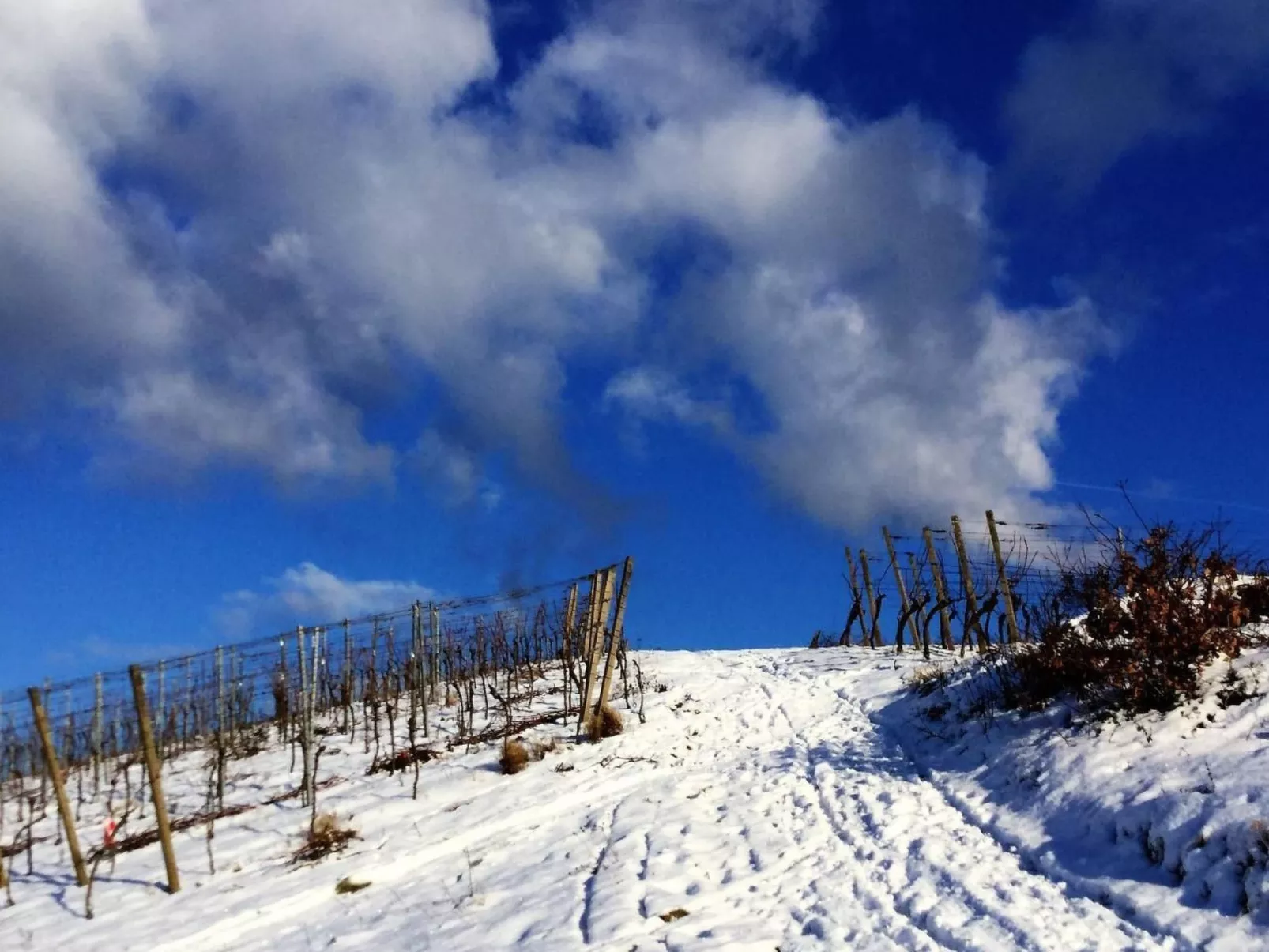 Traumwohnung-Image-tags.info