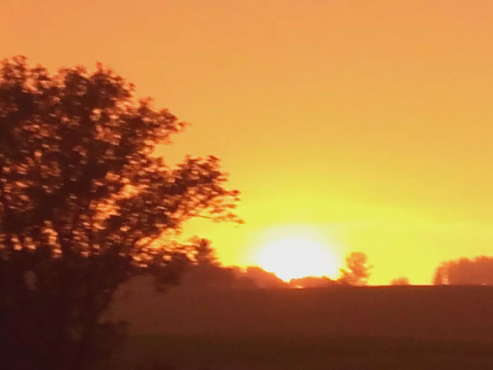Wohnung mit großer Gartenterrasse und Ausblick-Outside