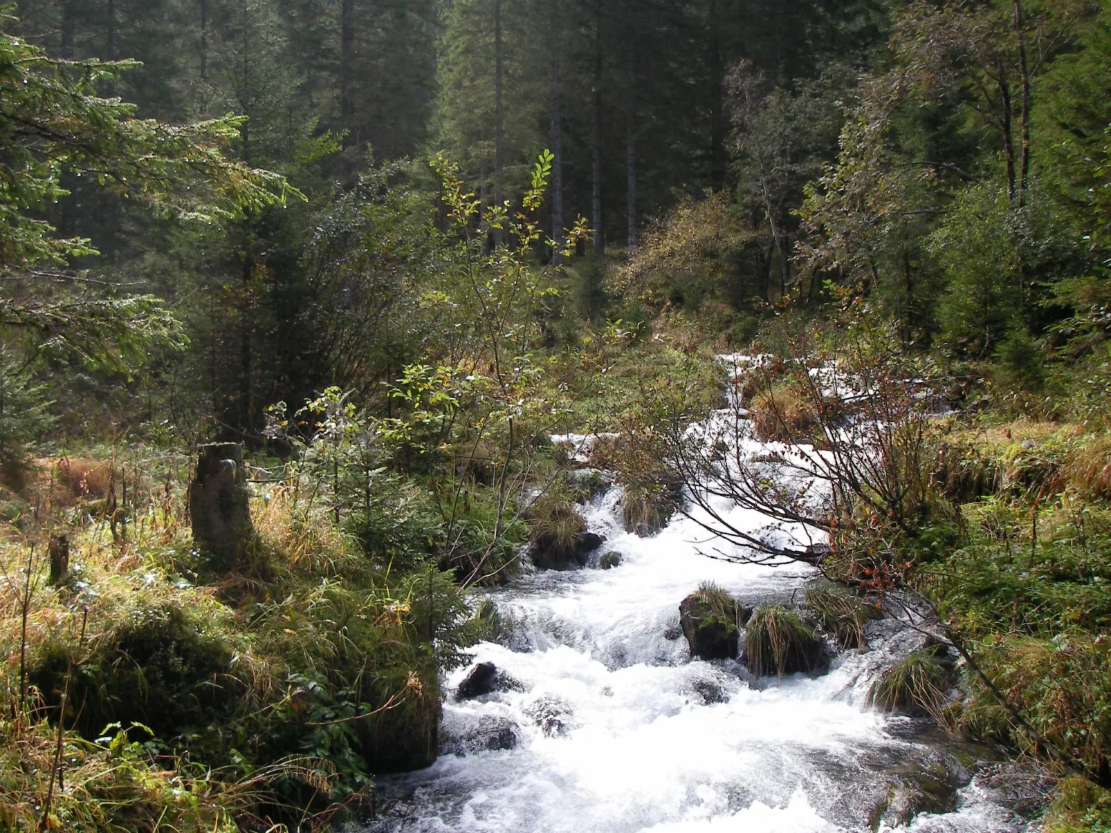 Chalet "Lena"-Image-tags.info