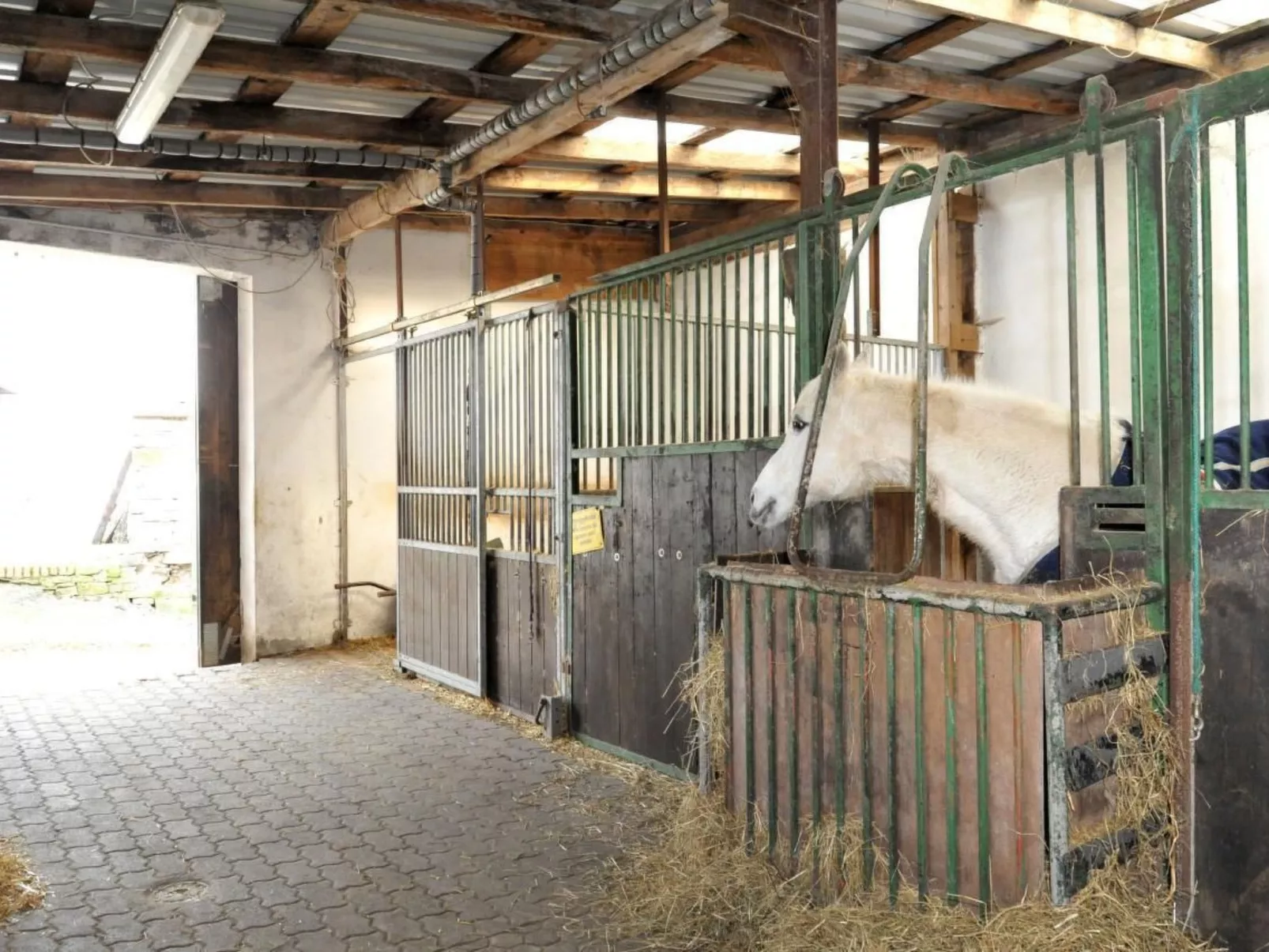 In Feldmannshof mit Grill und Garten-Dehors