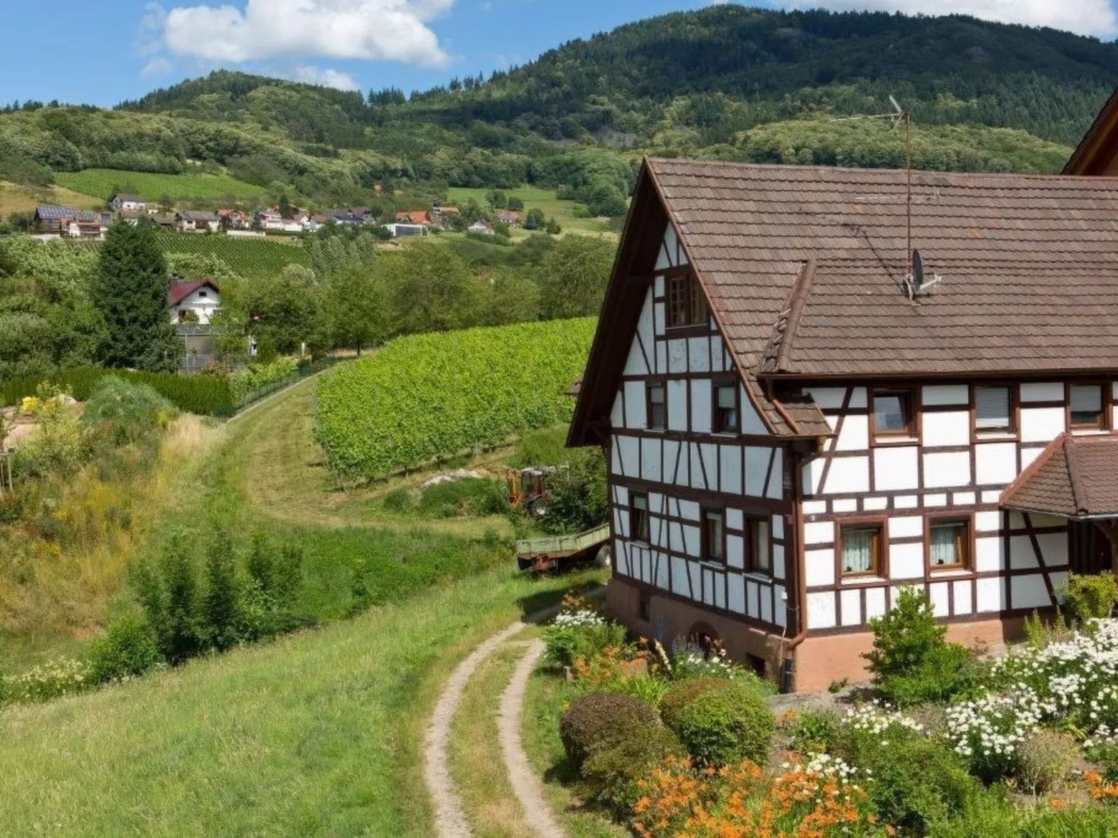 Exklusives Ferienhaus mit besonderer Ausstattung-Dehors