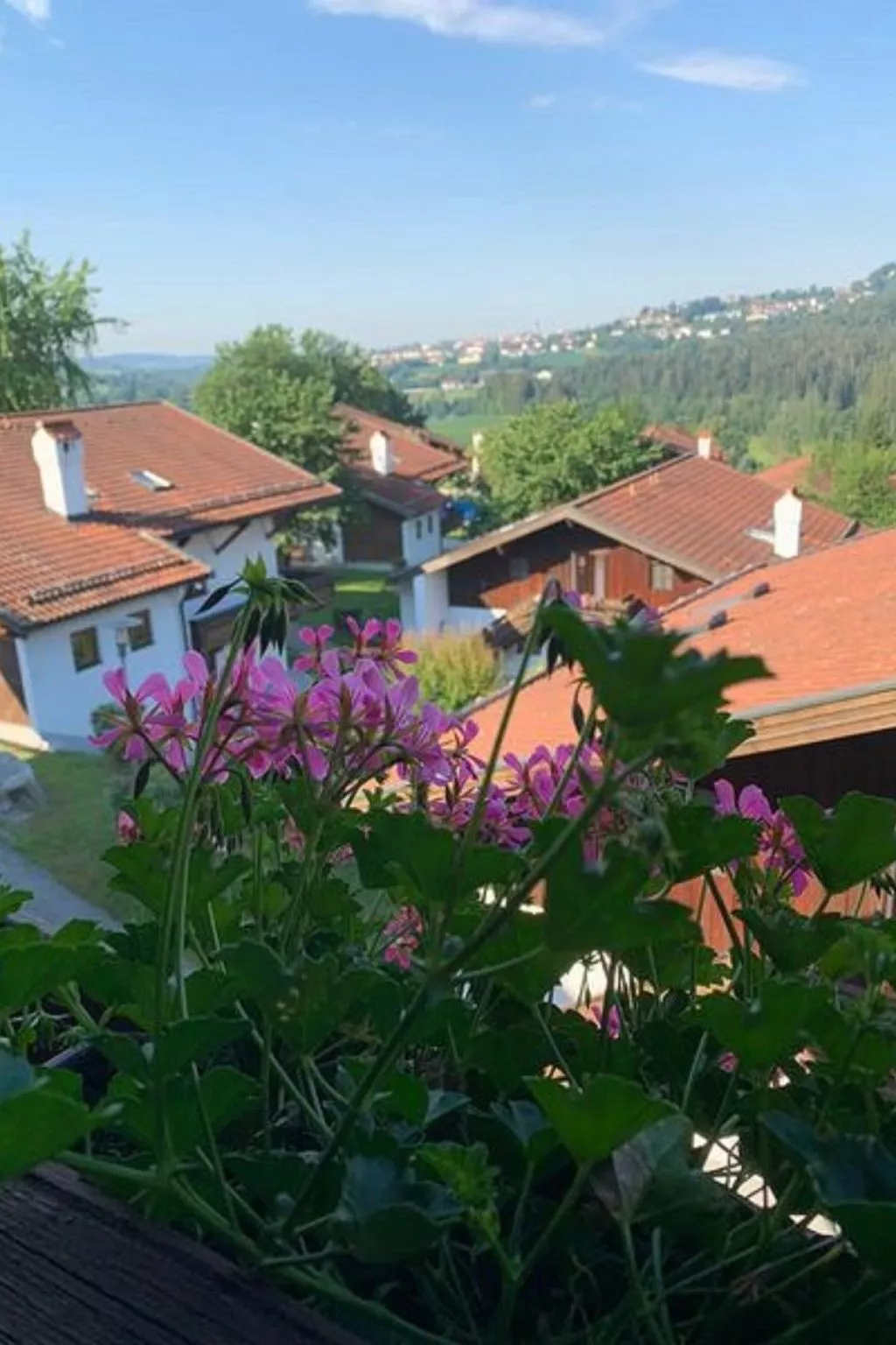 Appartement in Raßreuth mit gemeinsamem Pool-Draußen