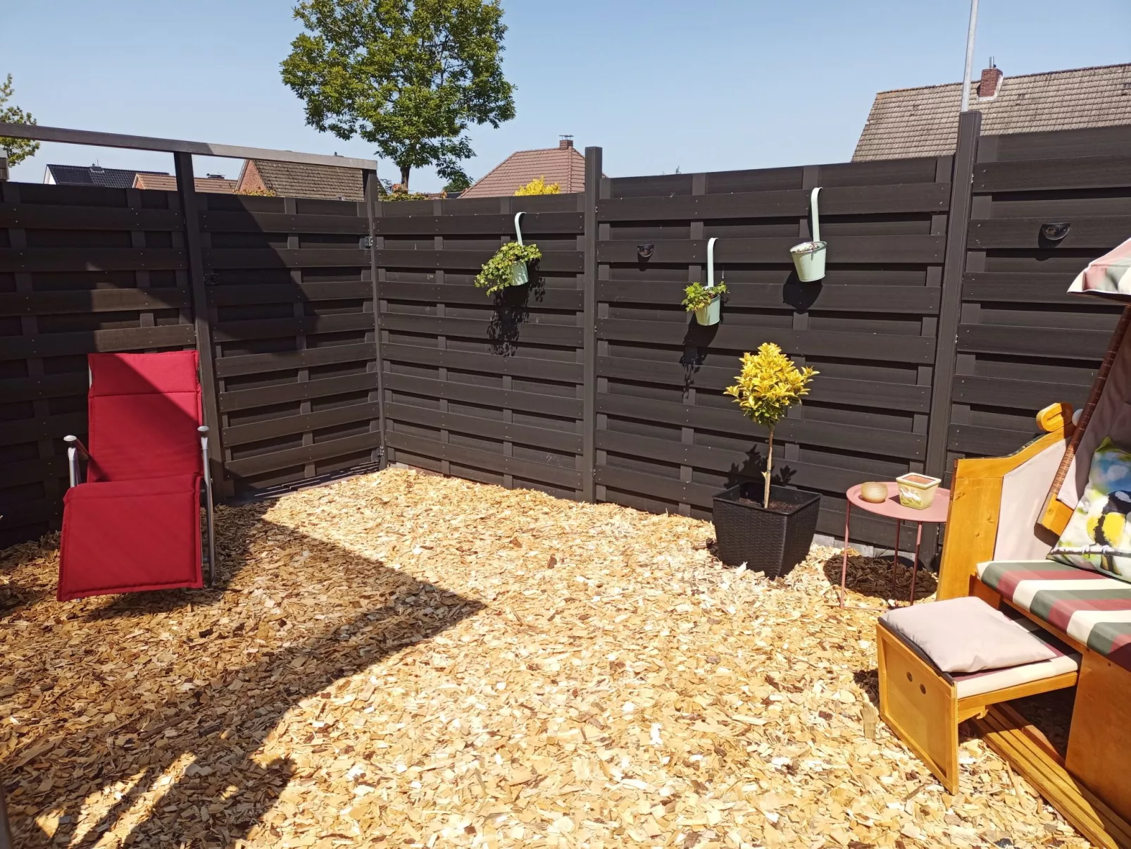 Zwei Finken in Wiesmoor-Outside