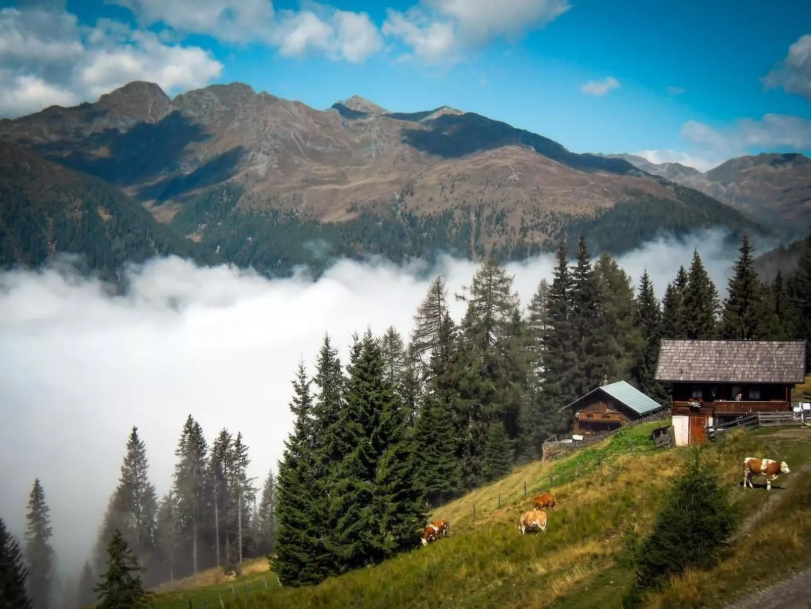Almhütte Enzian-Dehors