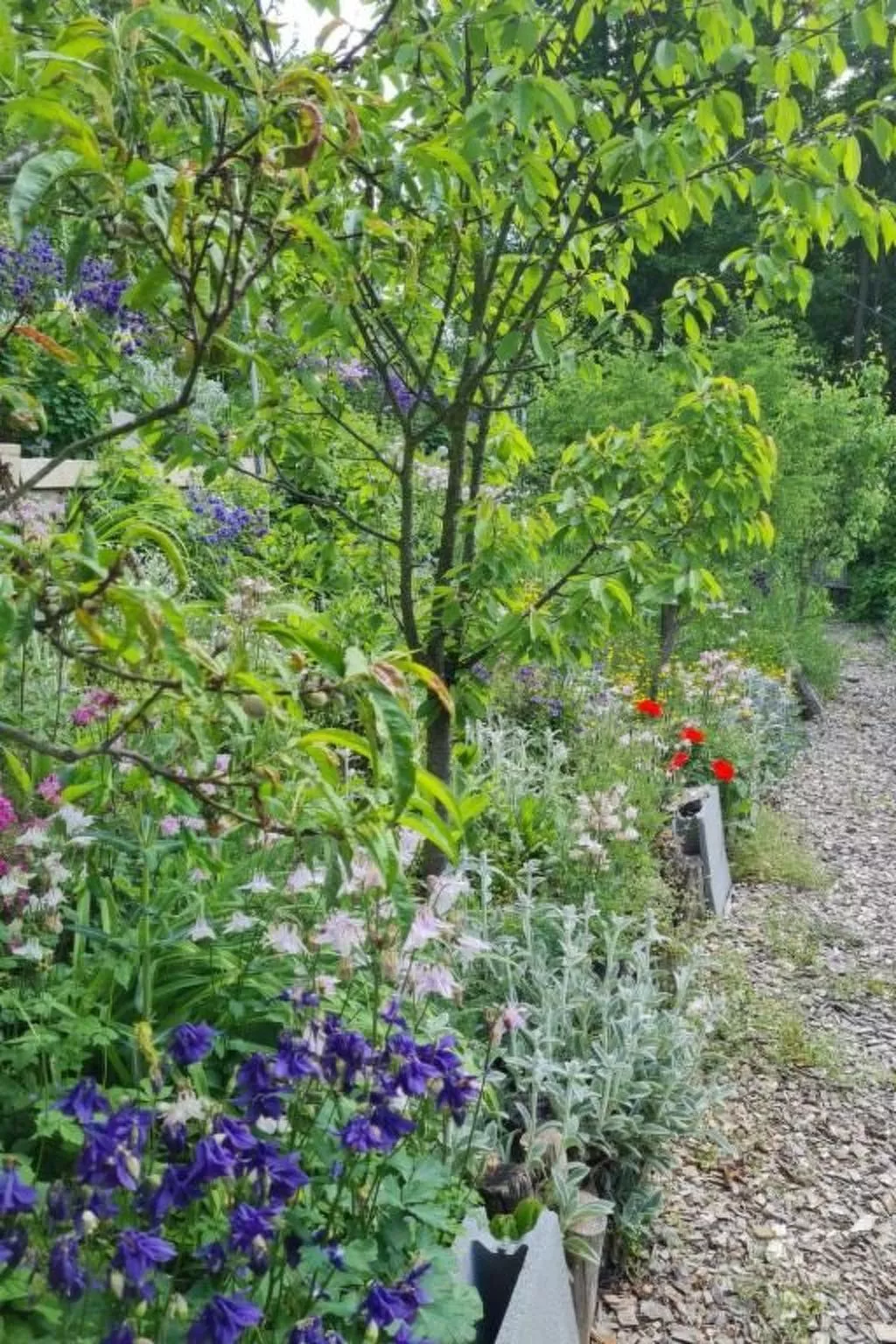 Roomantic Apartment für 4 Personen-Outside