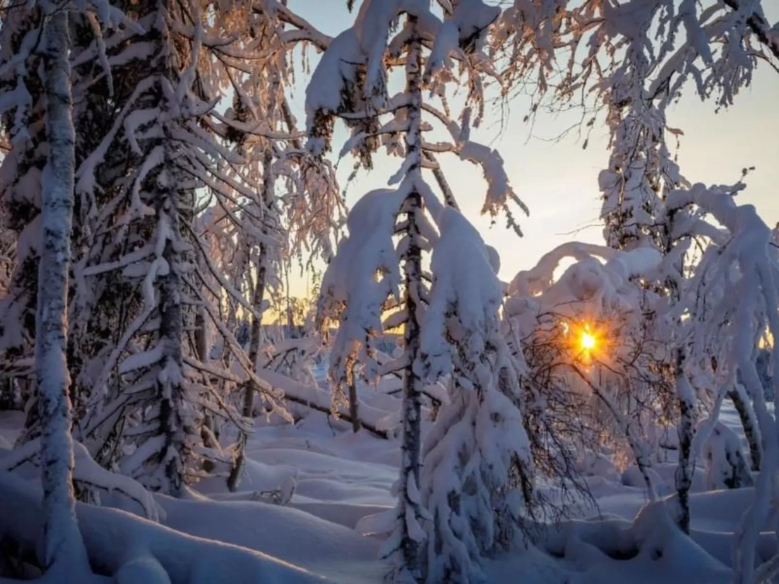 Gemütliches Ferienhaus in der Wildnis Lapplands-Draußen