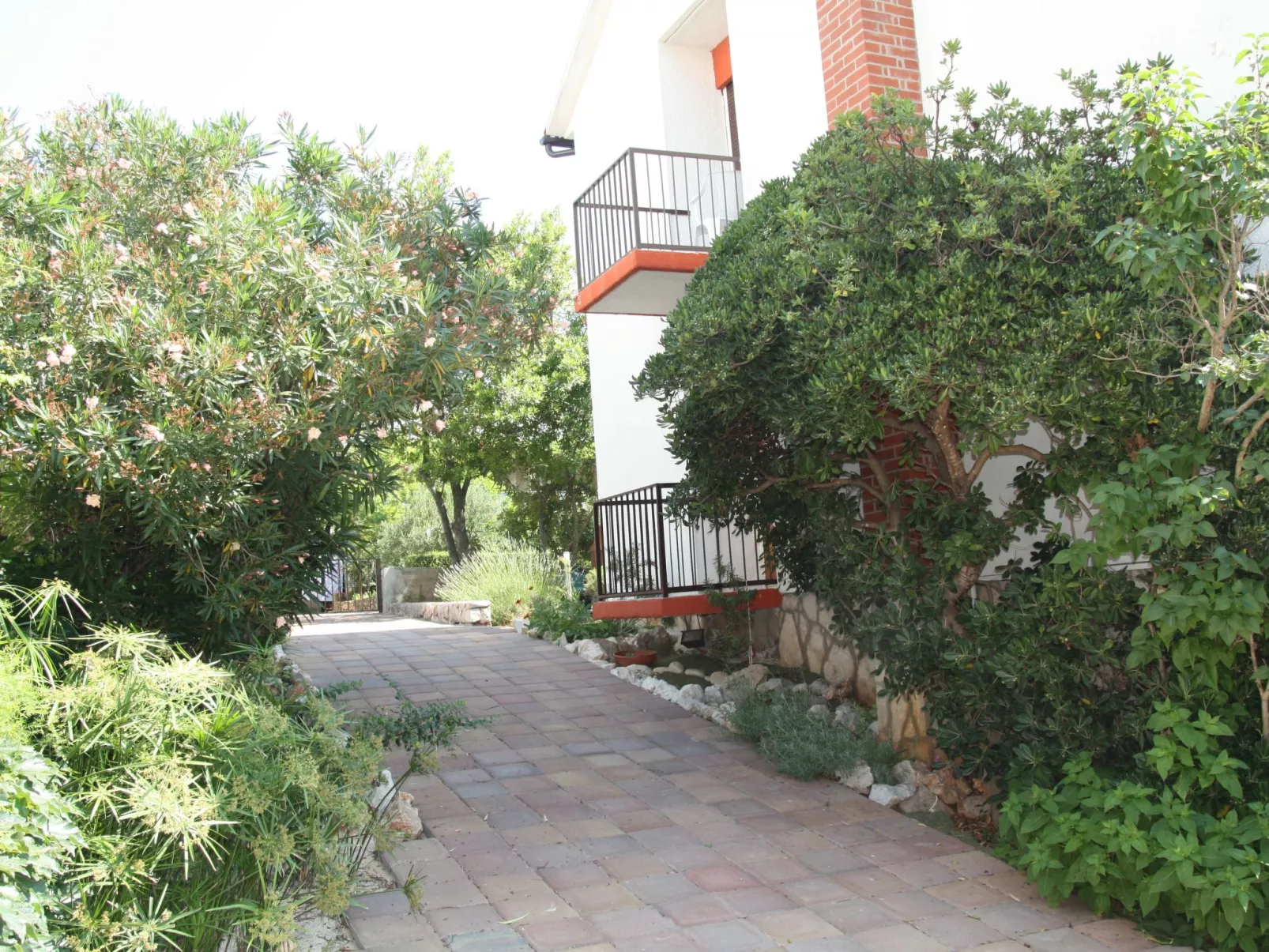 Komplex Oliva mit Pool und großem Garten-Outside