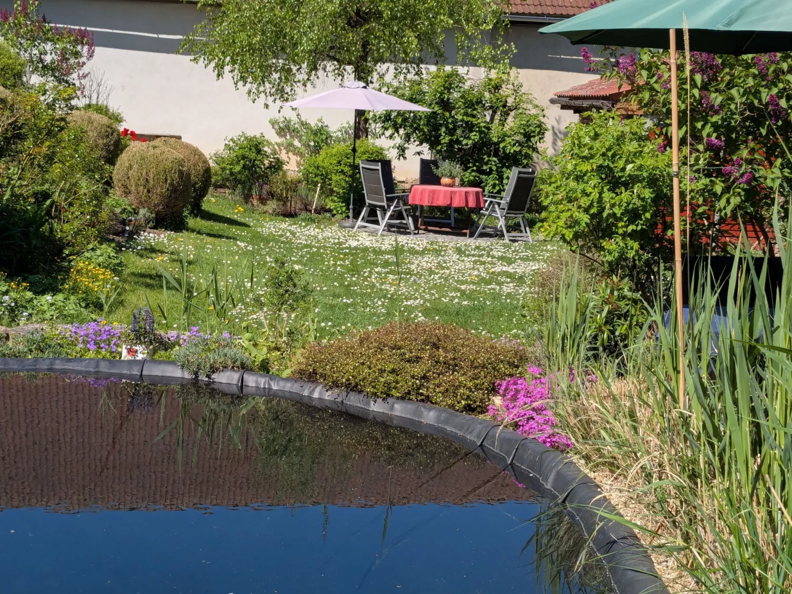 Haselbach 6-Image-tags.info